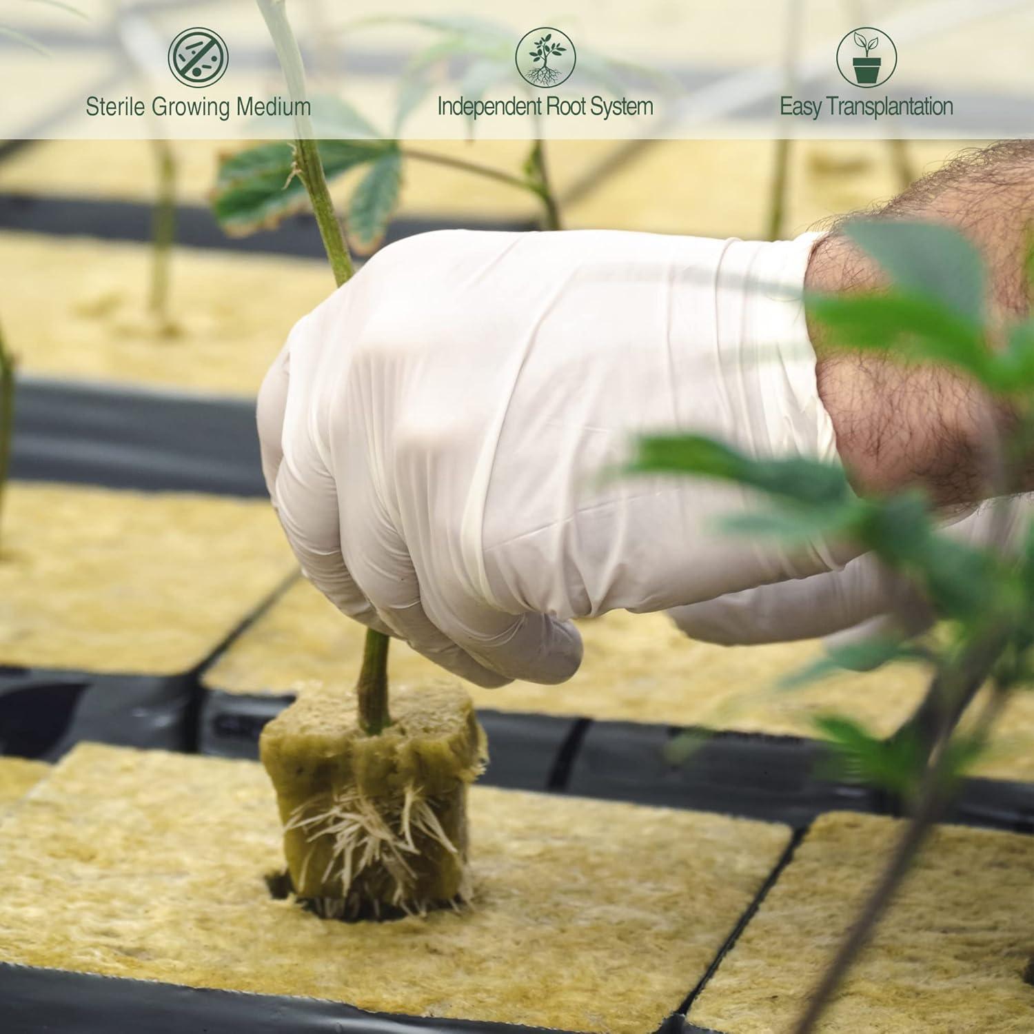 Cubos de Rockwool 1" SKINNYBUNNY para Hidroponía - 200 Unidades