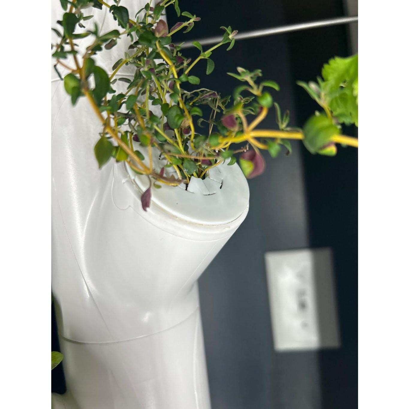 Juego de 10 Cubiertas Flexibles para Gardyn - Impresas en 3D