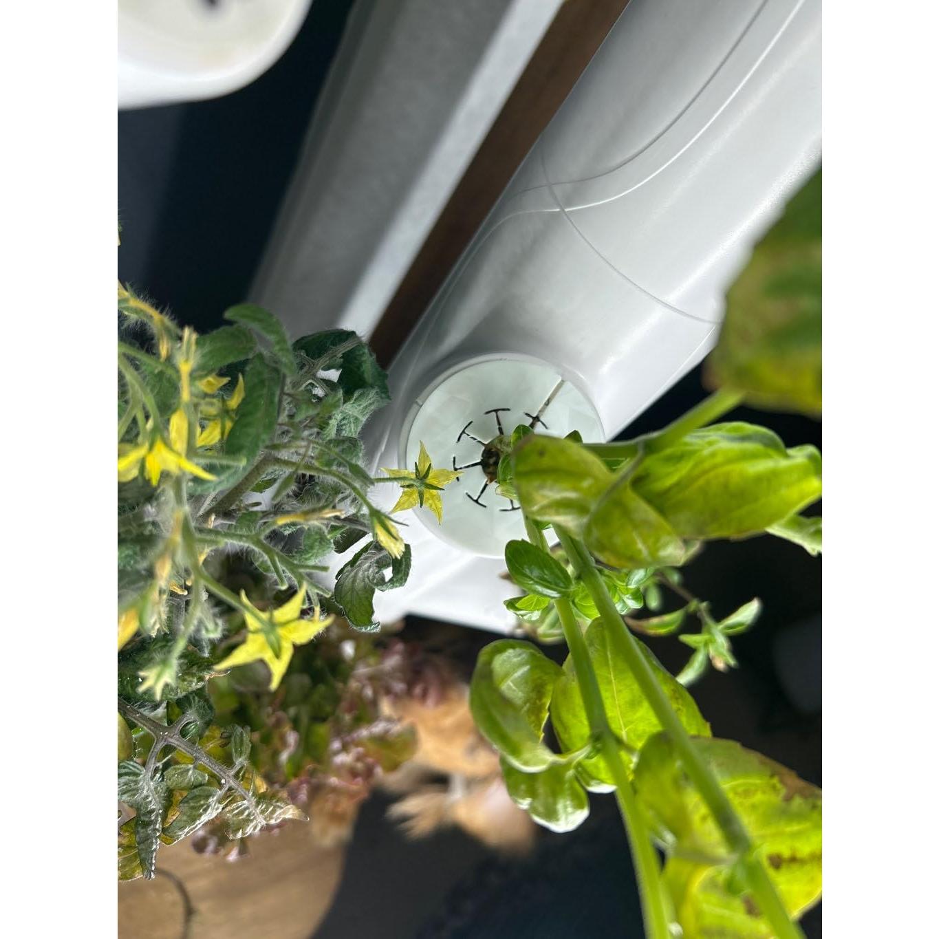 Juego de 10 Cubiertas Flexibles para Gardyn - Impresas en 3D