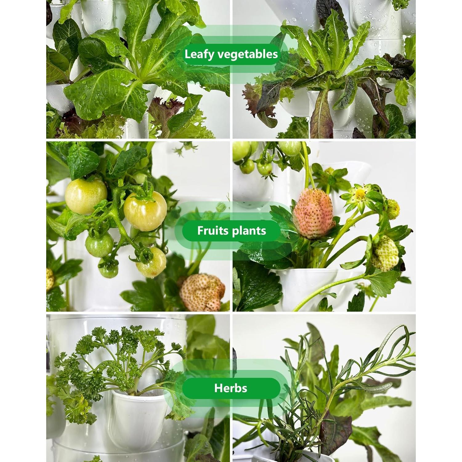 Sistema Hidropónico Vertical DPROOTS T6 para 30 Plantas