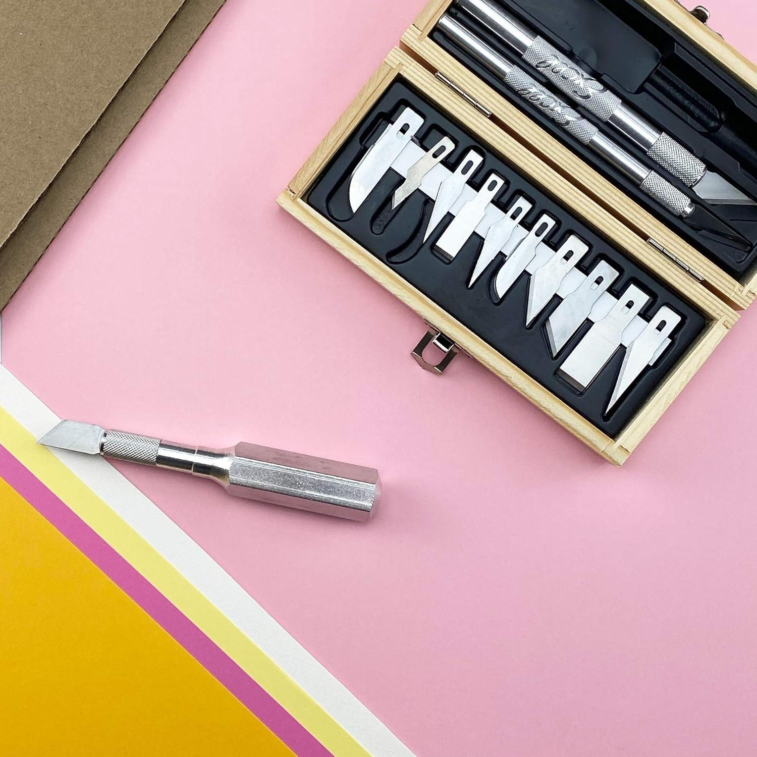 Juego de cuchillos de precisión Excel Blades 13 piezas con estuche