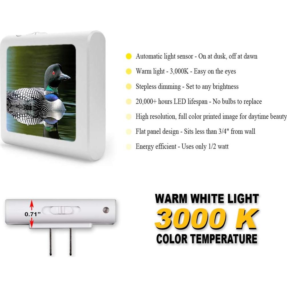 Luz Nocturna LED Regulable Art Plates con Sensor Automático