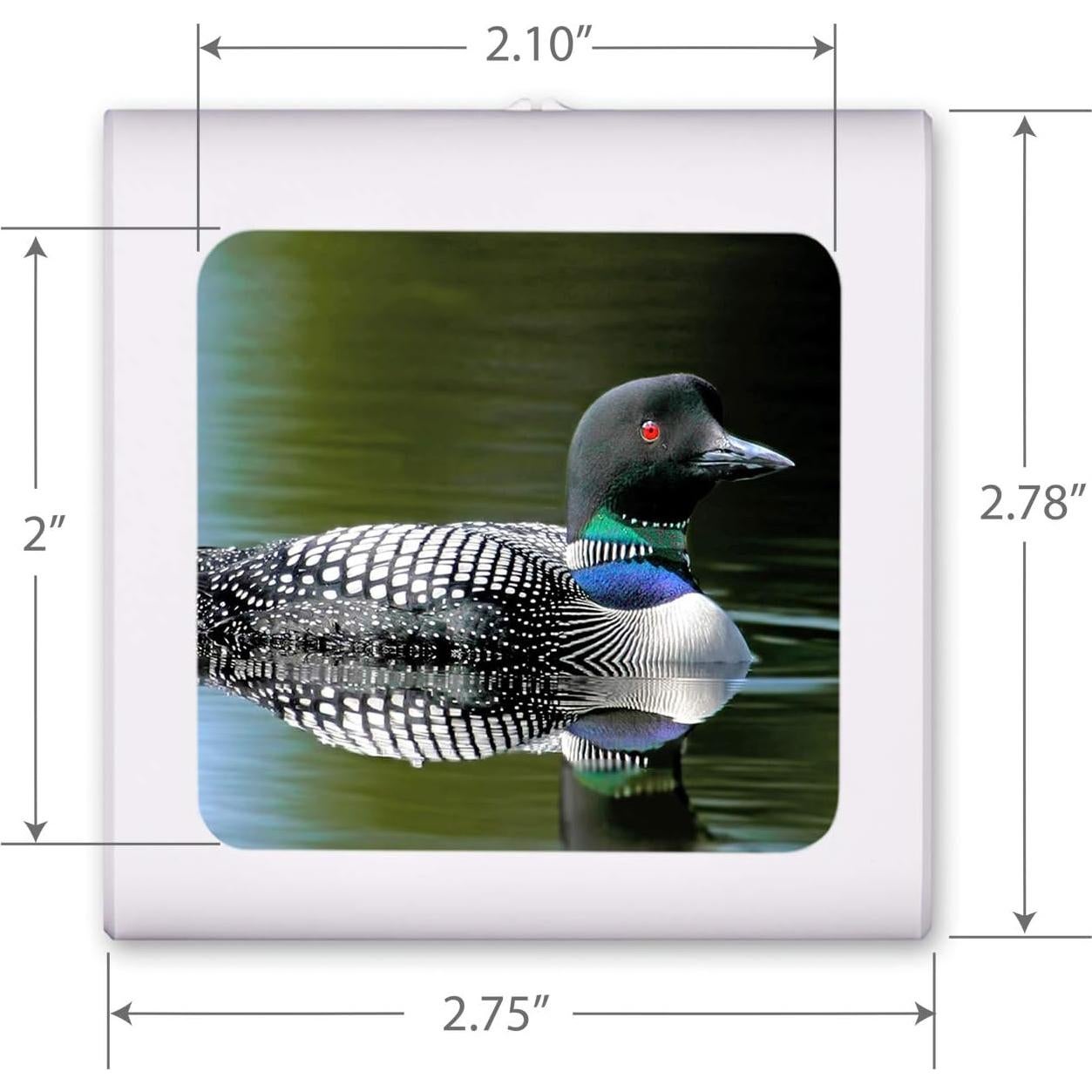 Luz Nocturna LED Regulable Art Plates con Sensor Automático