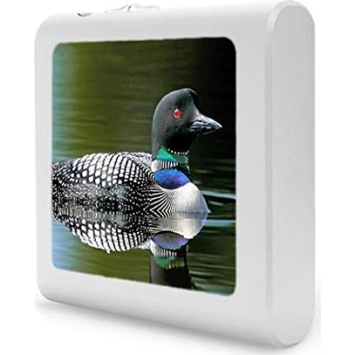 Luz Nocturna LED Regulable Art Plates con Sensor Automático