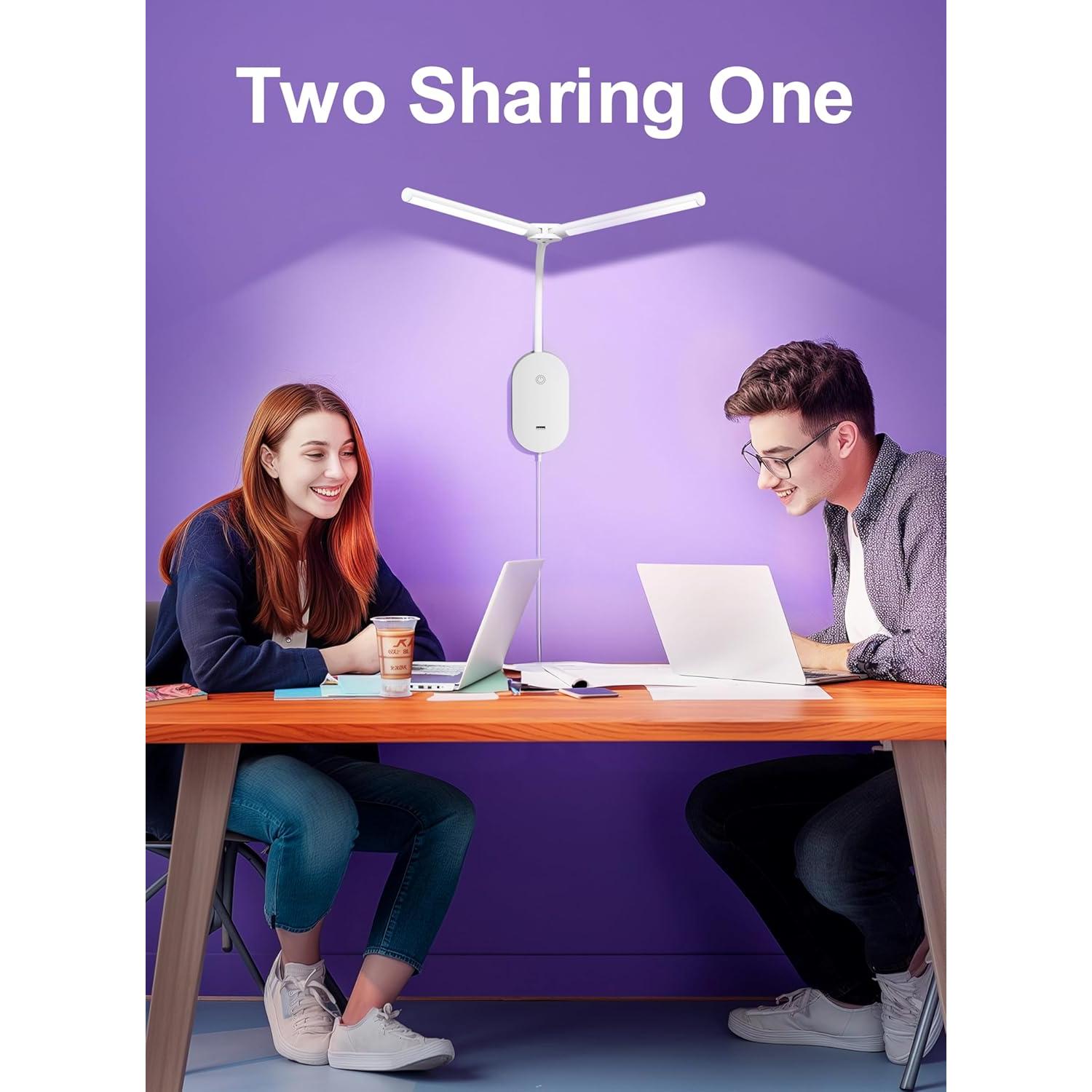 Lámpara de Lectura Montada en Pared TOPMB con 2 Cabezas LED