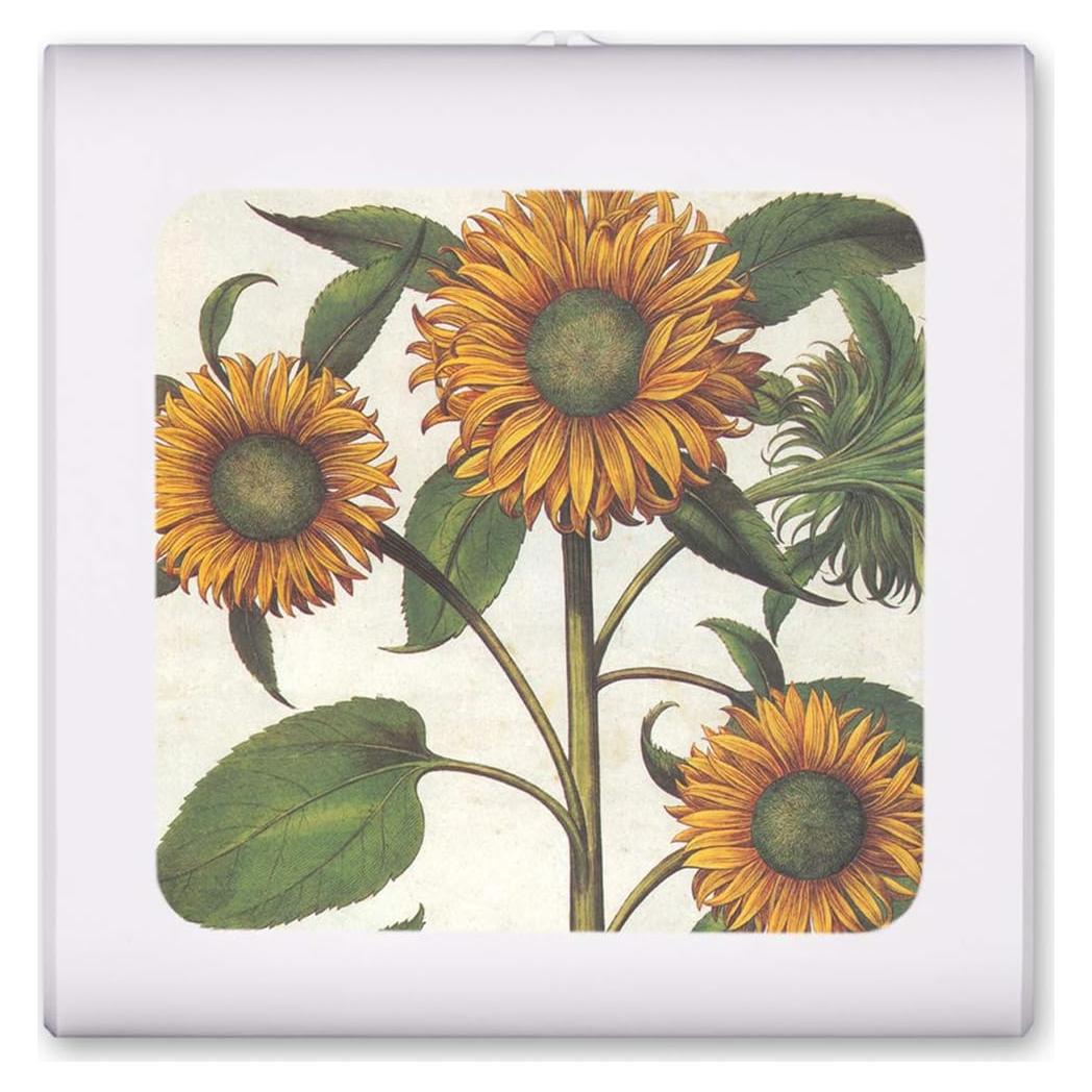 Luz Nocturna LED Art Plates Regulable con Sensor Automático