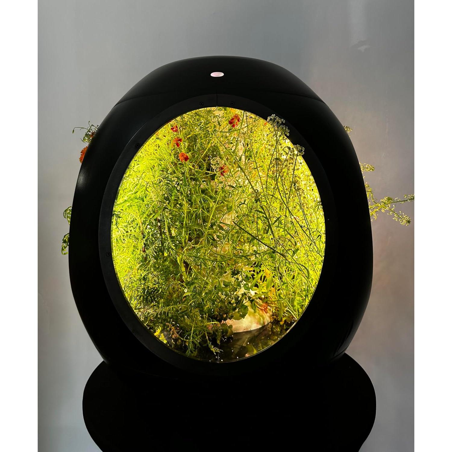 Plantaform Edible Flower Mix, Pack of 15 Pre-Seeded Plant Pods for The Plantaform Smart Indoor Garden, Organic, Non-GMO, Elevate Your Indoor Gardening Experience, Made in North America