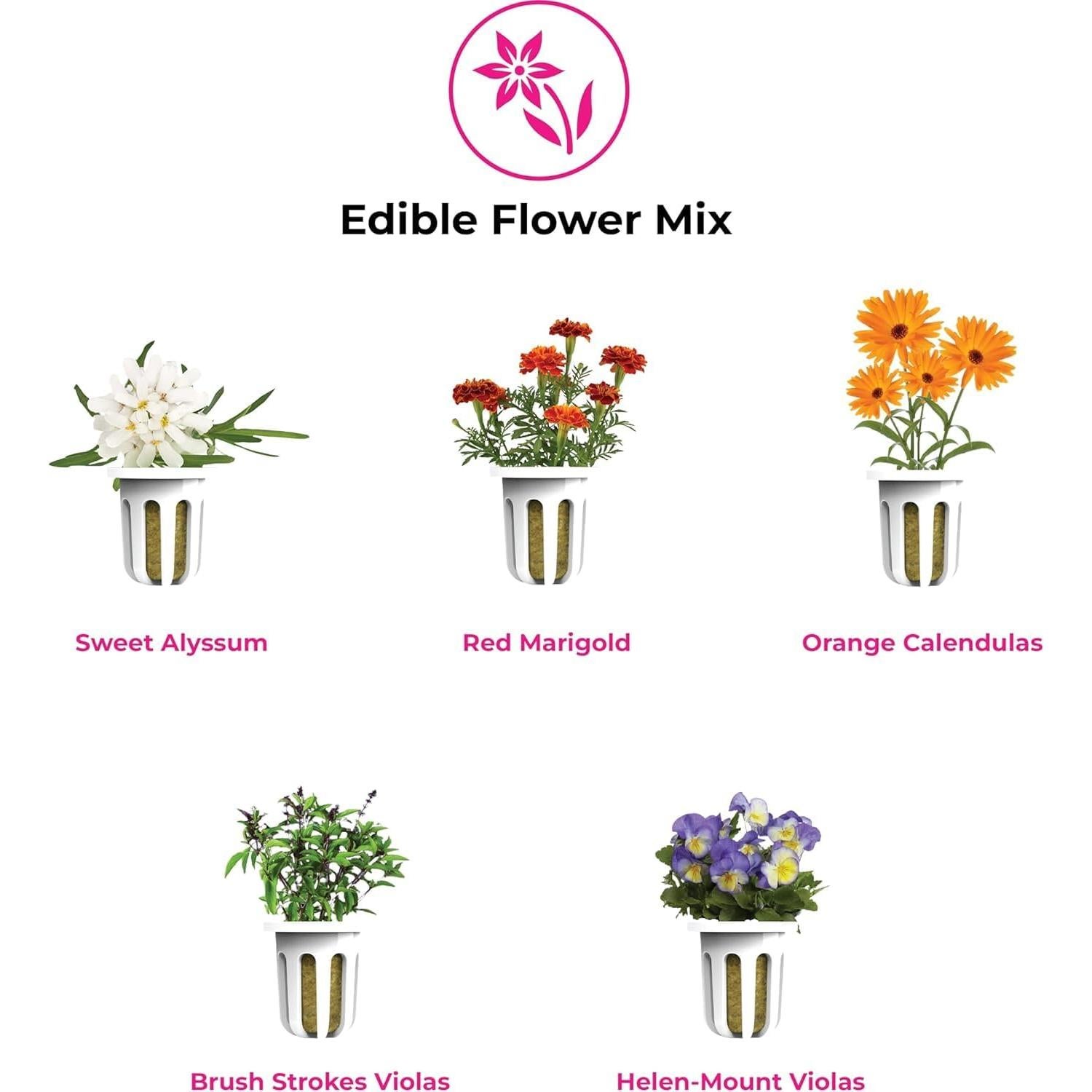 Plantaform Edible Flower Mix, Pack of 15 Pre-Seeded Plant Pods for The Plantaform Smart Indoor Garden, Organic, Non-GMO, Elevate Your Indoor Gardening Experience, Made in North America