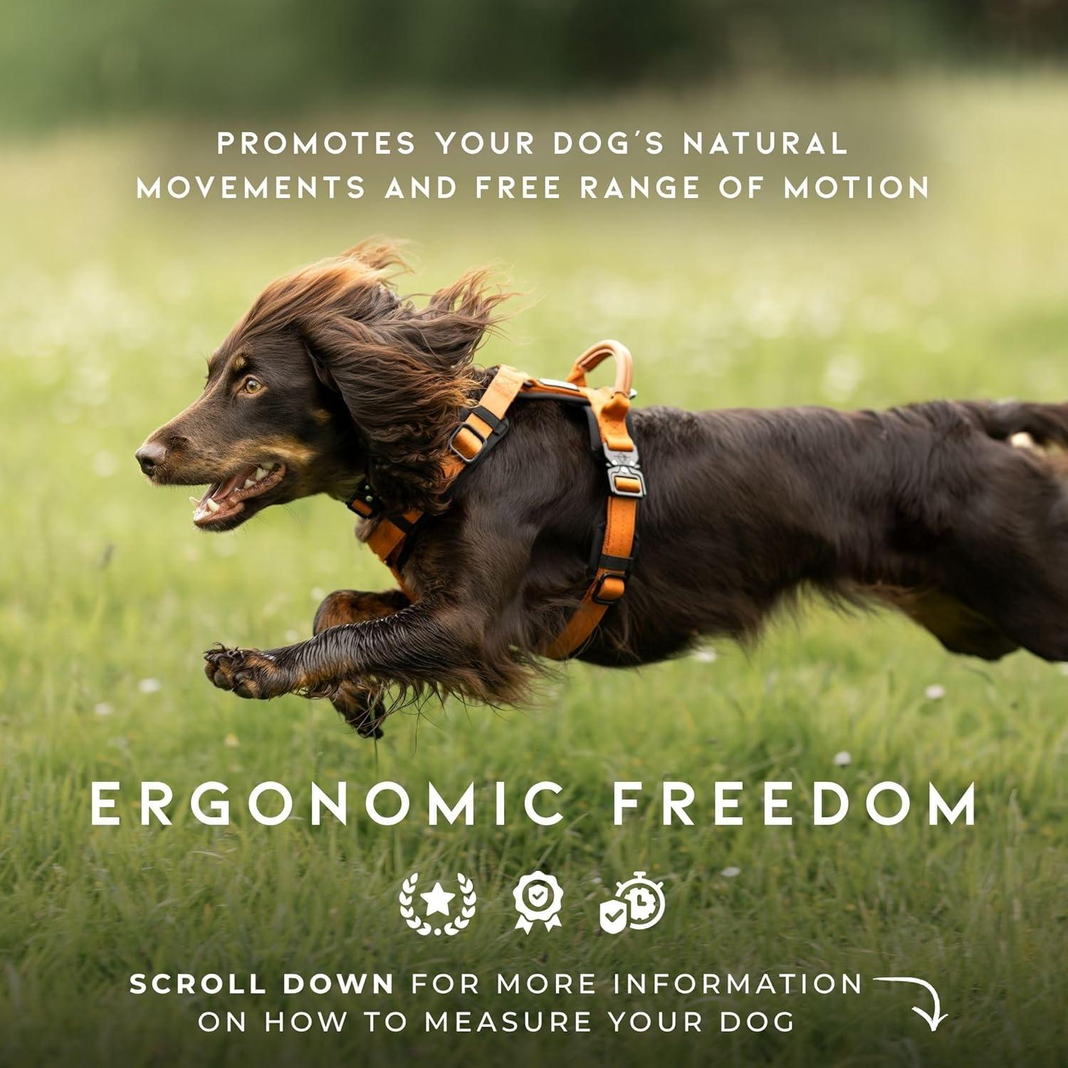 Arnés para Perros Made to Roam Tamaño 4 Cielo Nocturno