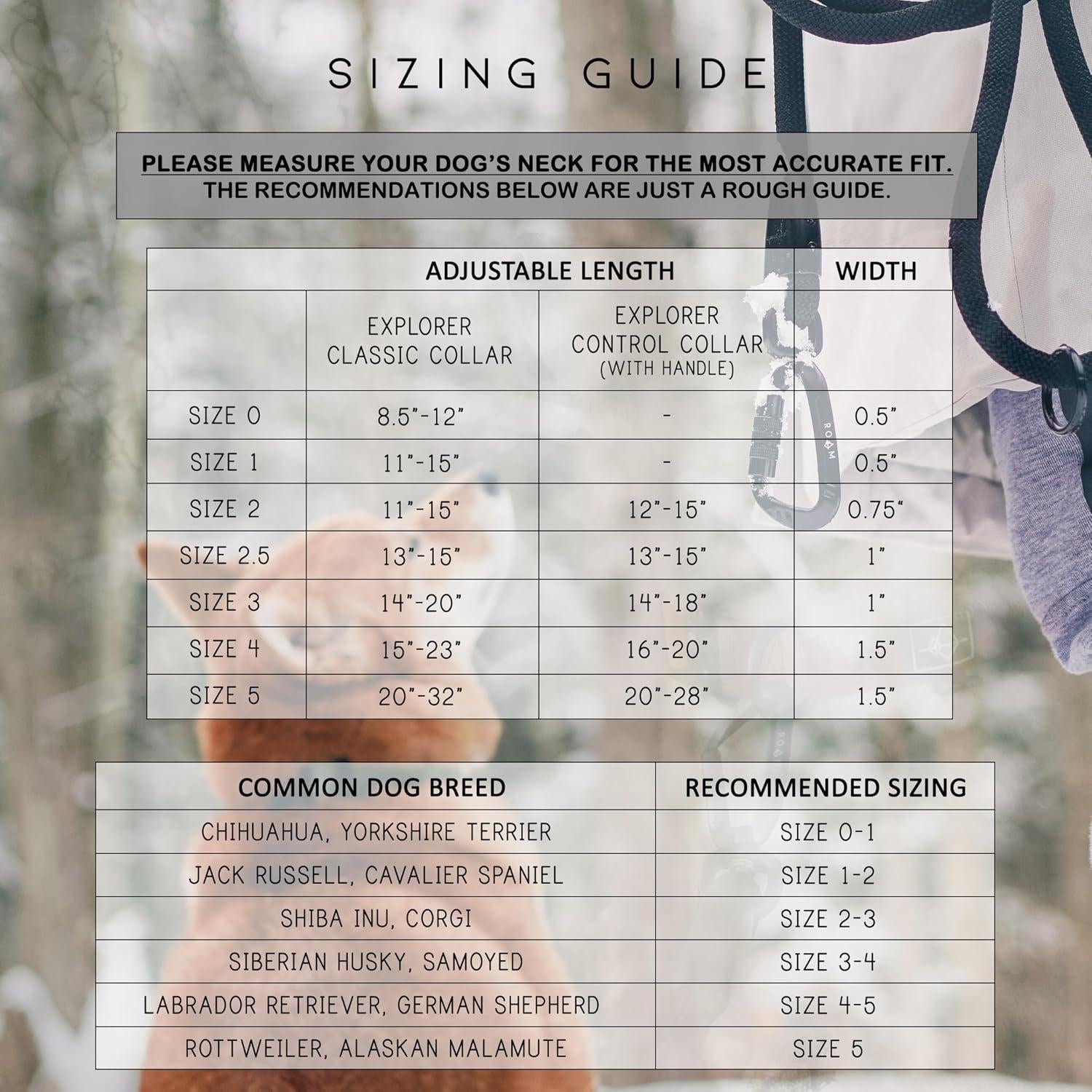 Made to ROAM Premium Dog Collar - Adjustable Heavy Duty Nylon Collar with Quick-Release Metal Buckle (Oregon Haze, Classic Size 4)