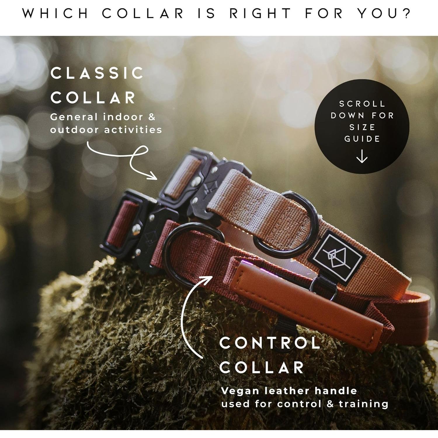 Made to ROAM Premium Dog Collar - Adjustable Heavy Duty Nylon Collar with Quick-Release Metal Buckle (Oregon Haze, Classic Size 4)