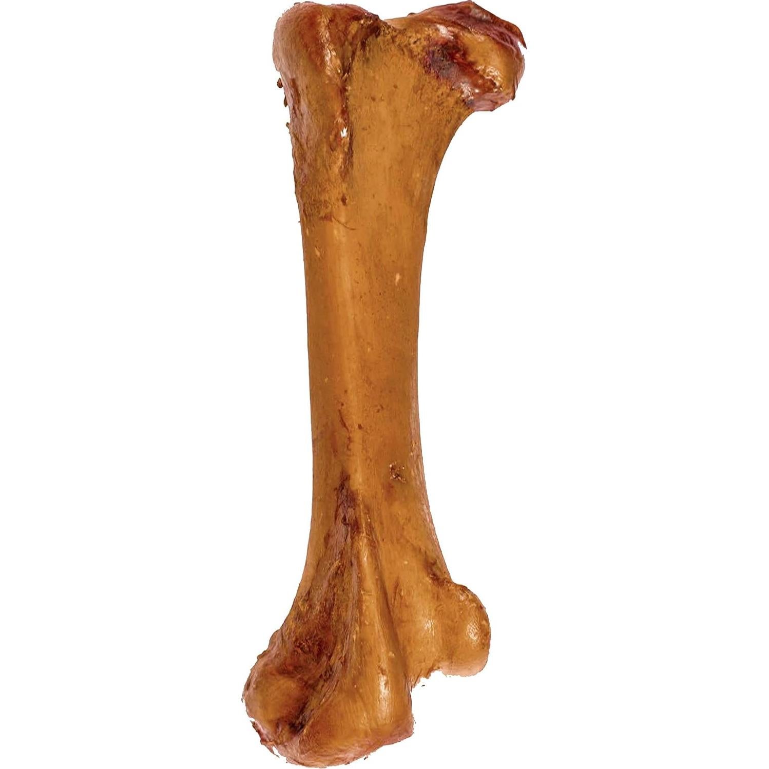 Huesos de Avestruz ROAM para Perros Medianos y Grandes - 2 Unidades