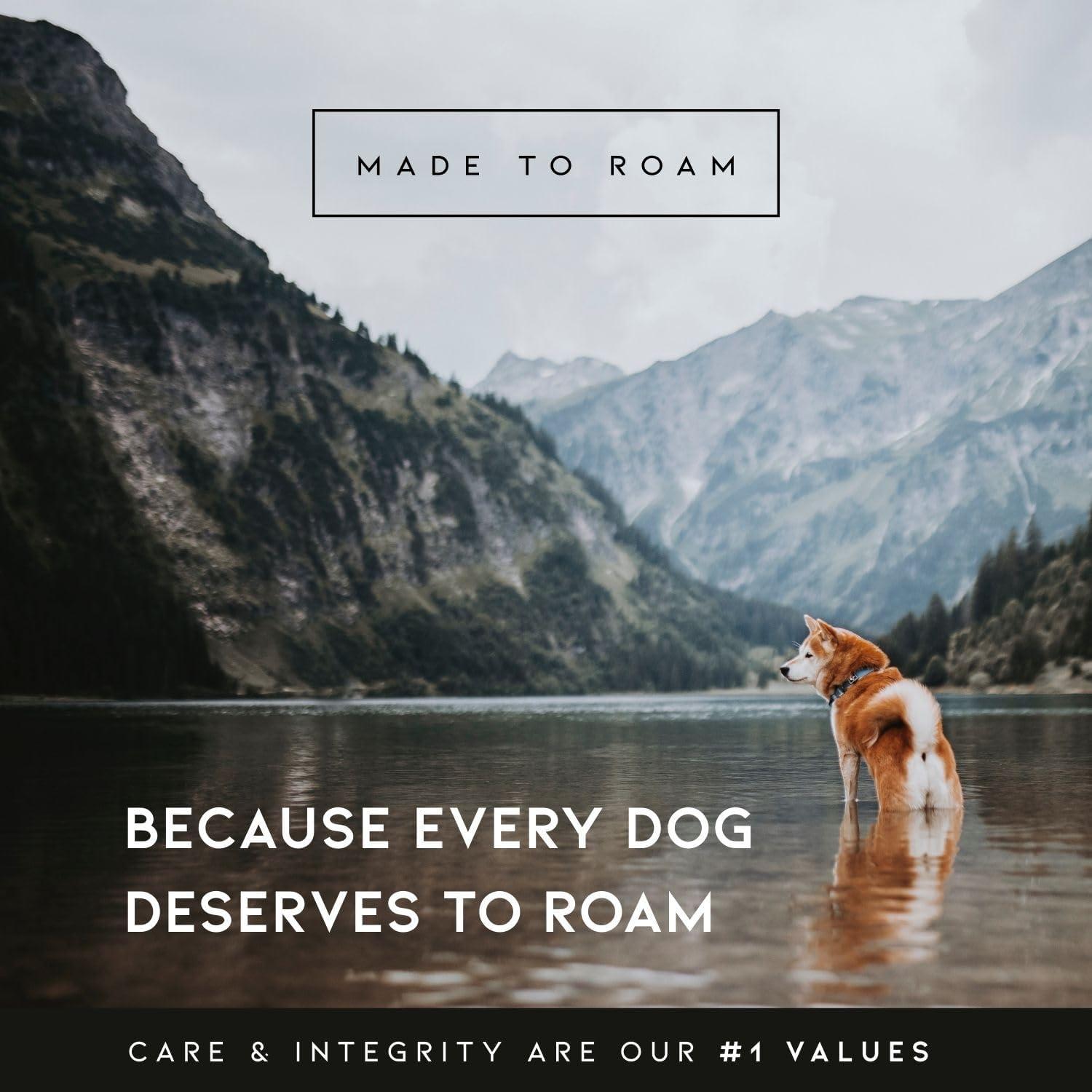 Correa de Escalada MADE TO ROAM 1.83m Oregon Haze con Mosquetón