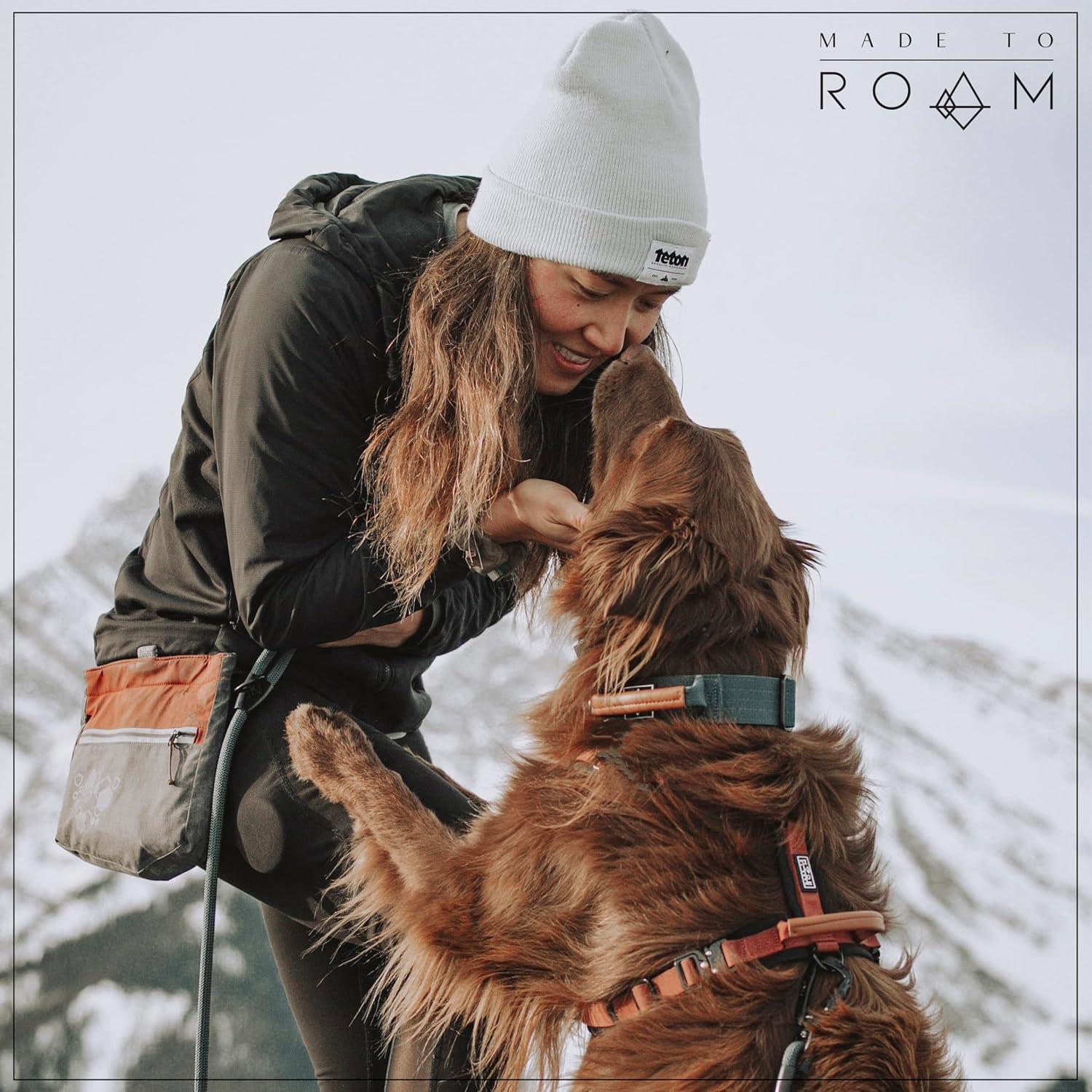 Correa para Perros Made to Roam 1.83m Nylon Suave Aluminio