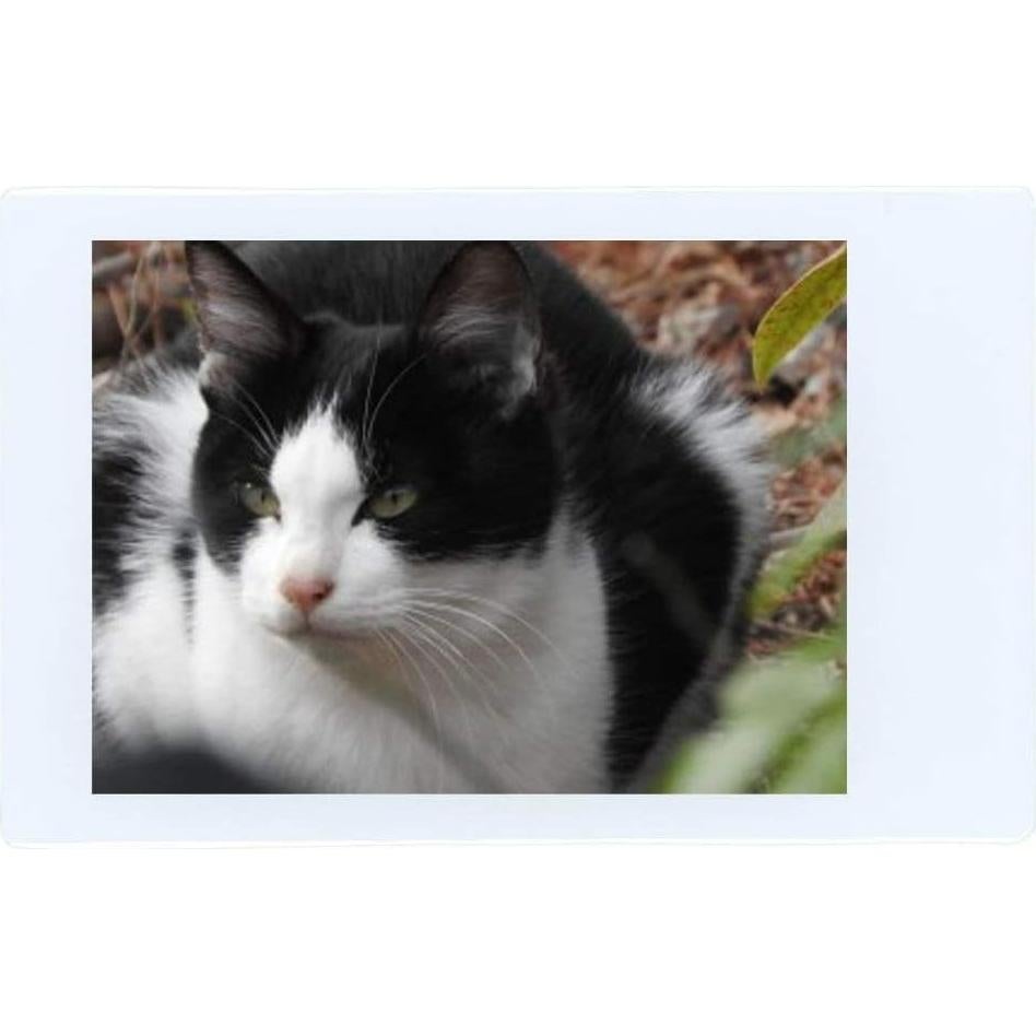 Película Instantánea Fujifilm Instax Mini 100 - 100 fotos