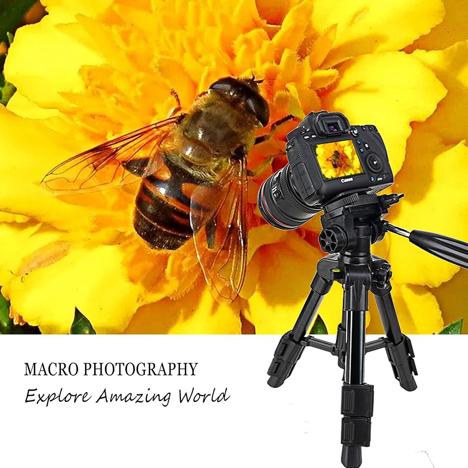 Trípode de Mesa Zomei Q100 para Cámara DSLR, 3 Vías, 51cm