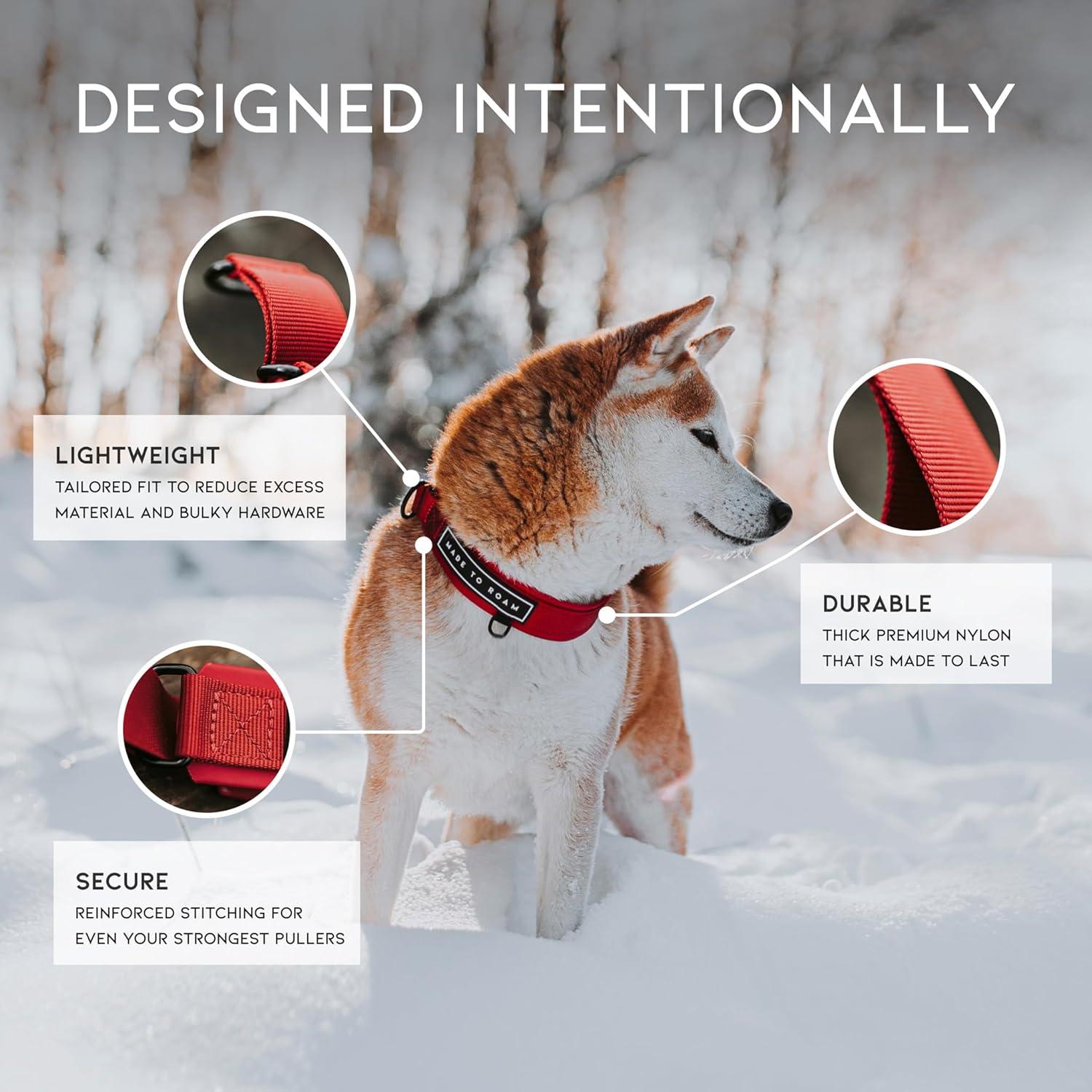 Collar Martingale para Perros Made to Roam - Cuero Vegano, Tamaño 7