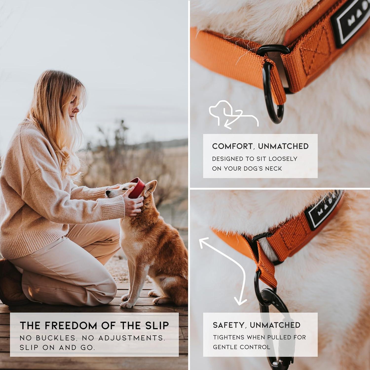 Collar Martingale para Perros Made to Roam - Cuero Vegano, Tamaño 7