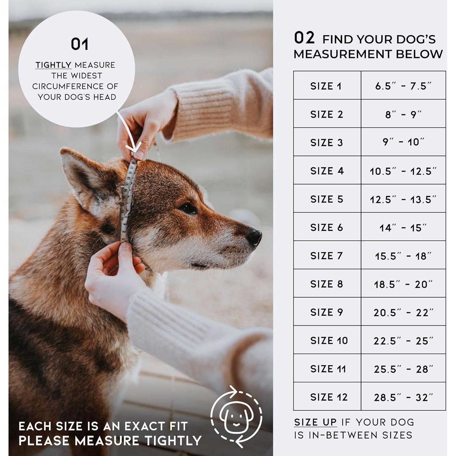 Collar Martingale para Perros Made to Roam - Cuero Vegano, Tamaño 7