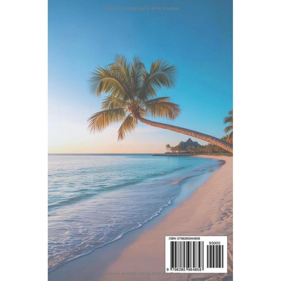GUIDE DE VOYAGE PUNTA CANA 2025: Une lettre d'amour écrite au soleil et à la brise marine (French Edition)