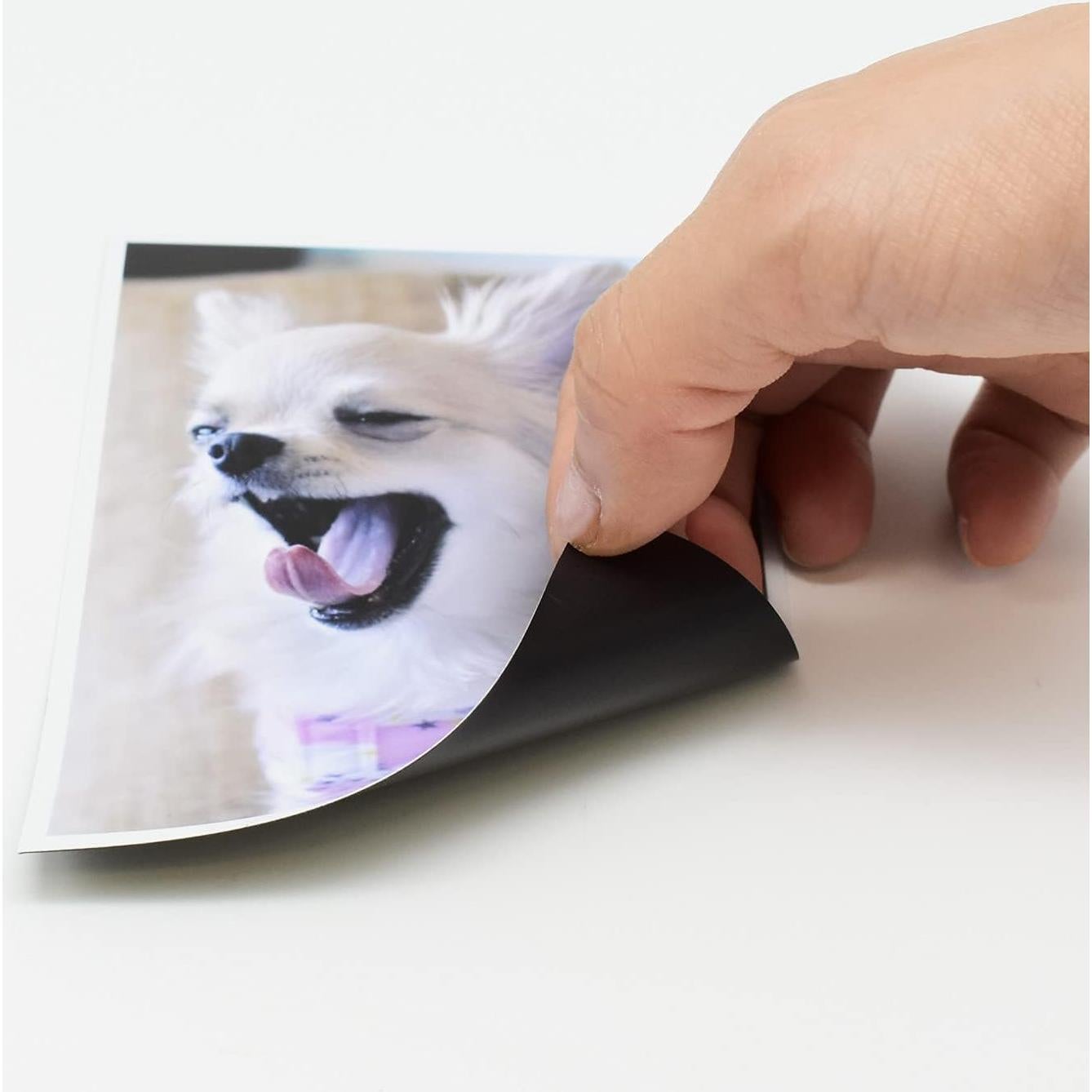 Hojas Magnéticas Imprimibles MagX, 21.6x27.9 cm, 10 Unidades