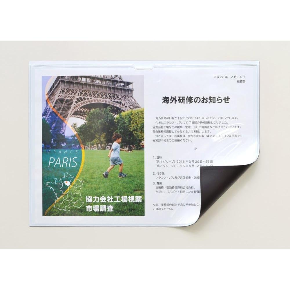 Funda Magnética para Tarjetas Magx MCARD-A3G Brillante