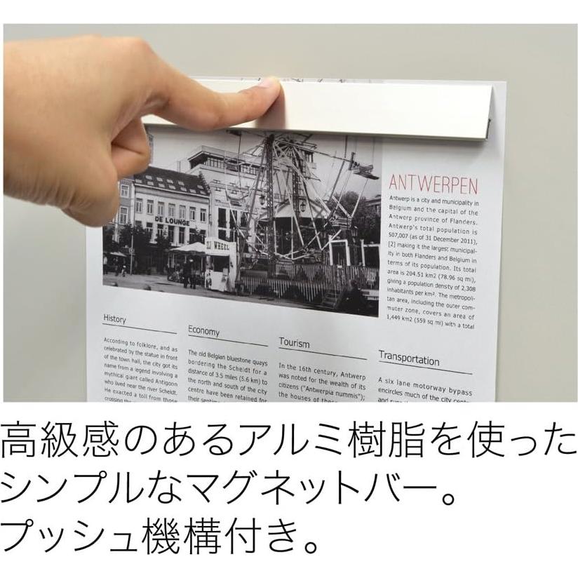 Mag-X MOAB-300 Magnetic Bar, Large, 11.8 inches (300 mm), Silver