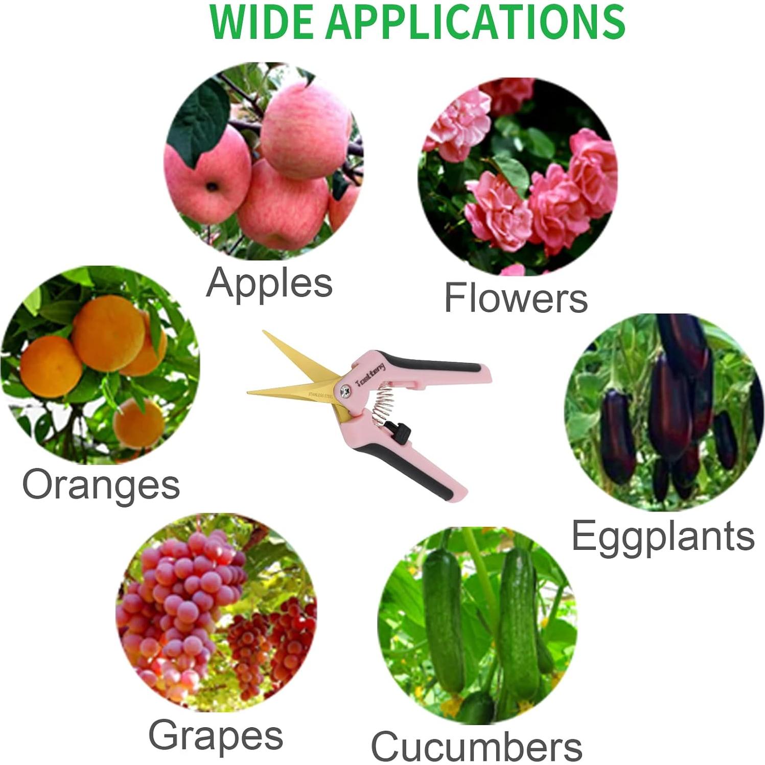 Tijeras de Podar TOOLTENG Rosa 12 Paquetes Cuchilla Curvada