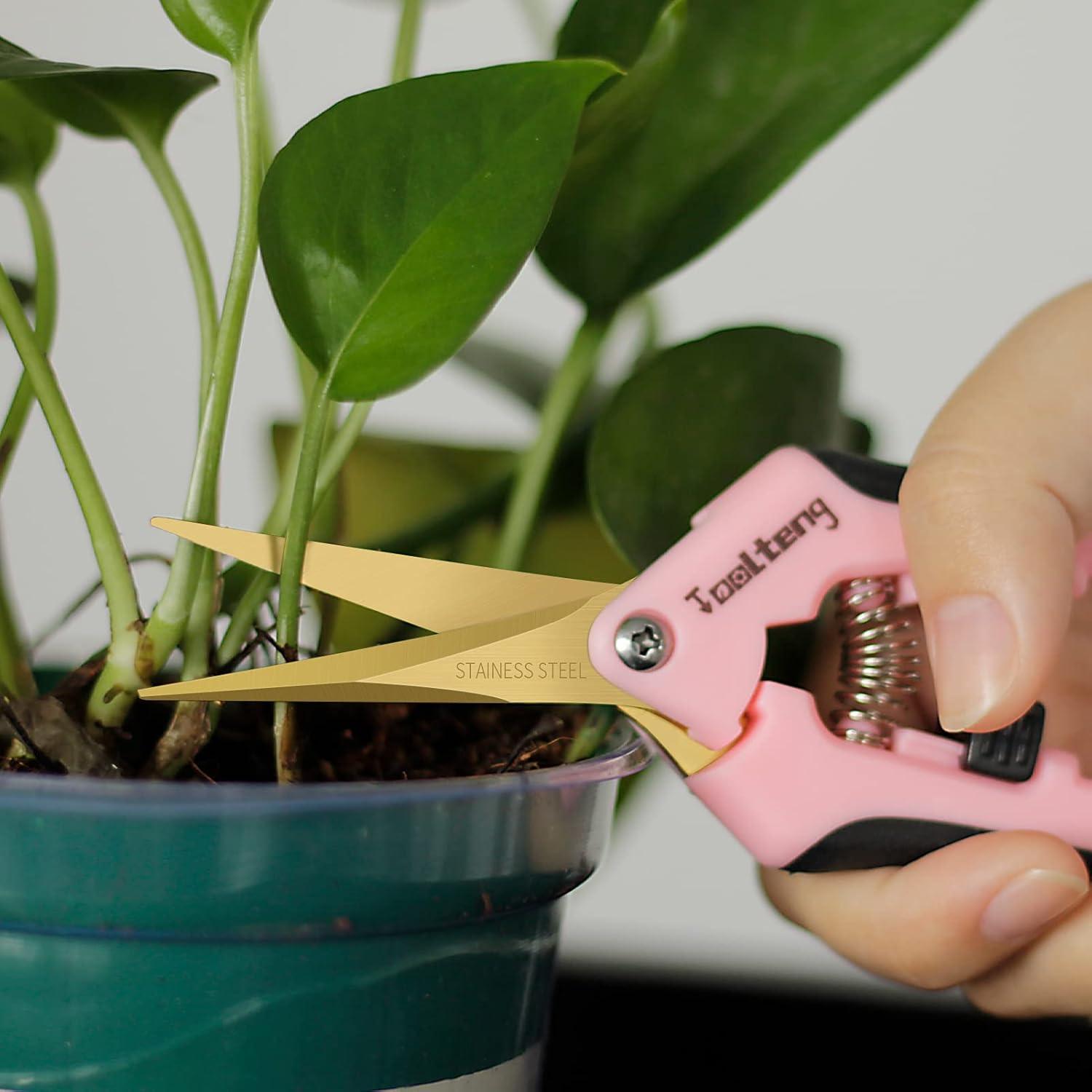 Tijeras de Podar TOOLTENG Rosa 12 Paquetes Cuchilla Curvada