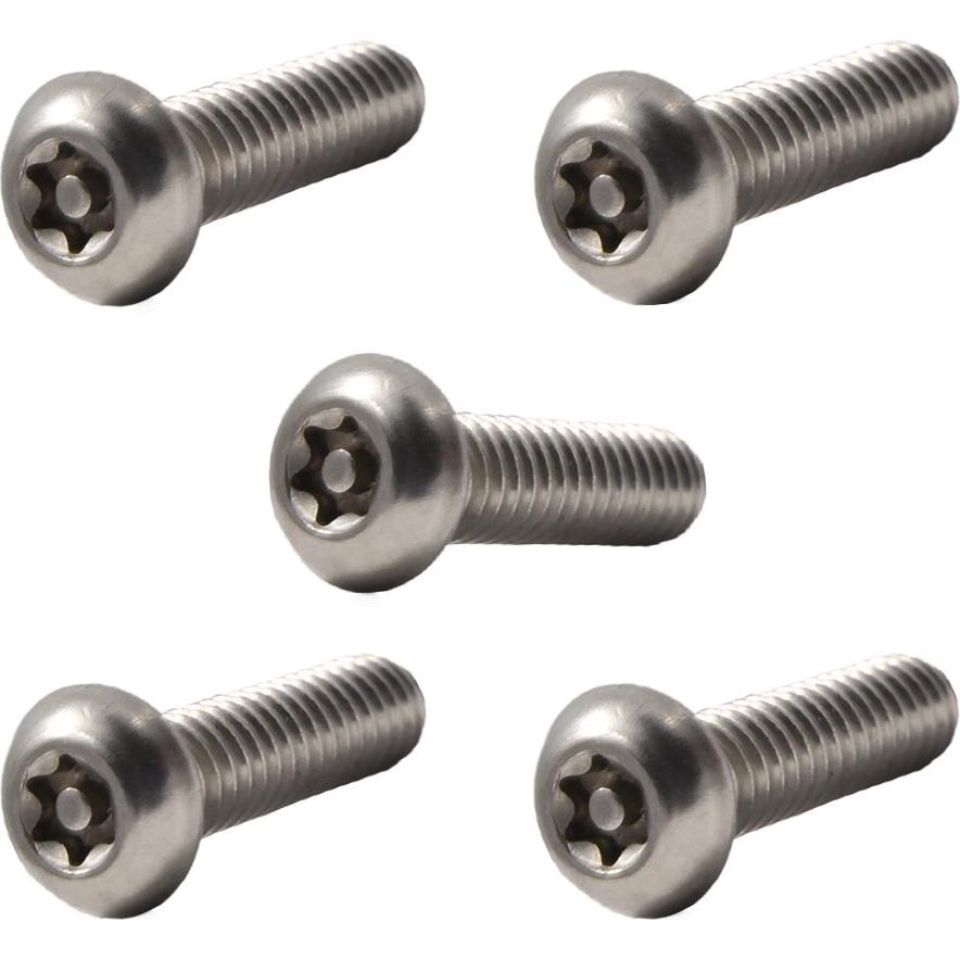 Tornillos de Seguridad Torx 8-32 x 0.79 cm Acero Inoxidable 25-Pack