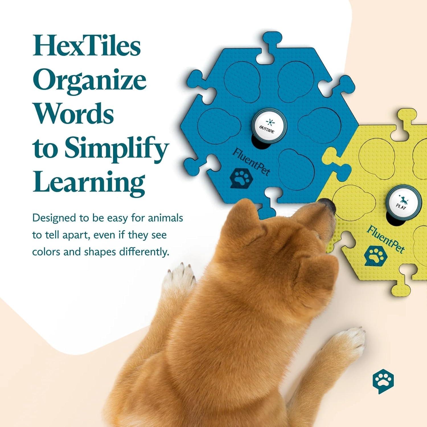 Kit de Prueba FluentPet - 2 Botones de Comunicación y 1 HexTile Azul