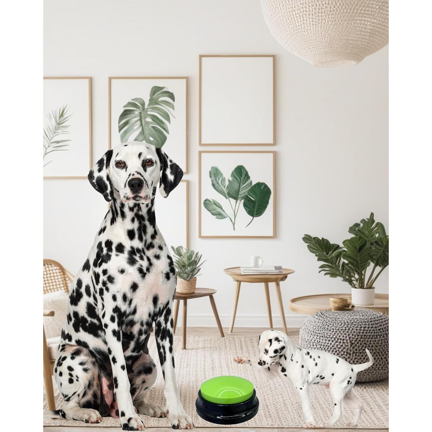 Botón de Comunicación para Perros ZUMEHU Verde 30 Segundos