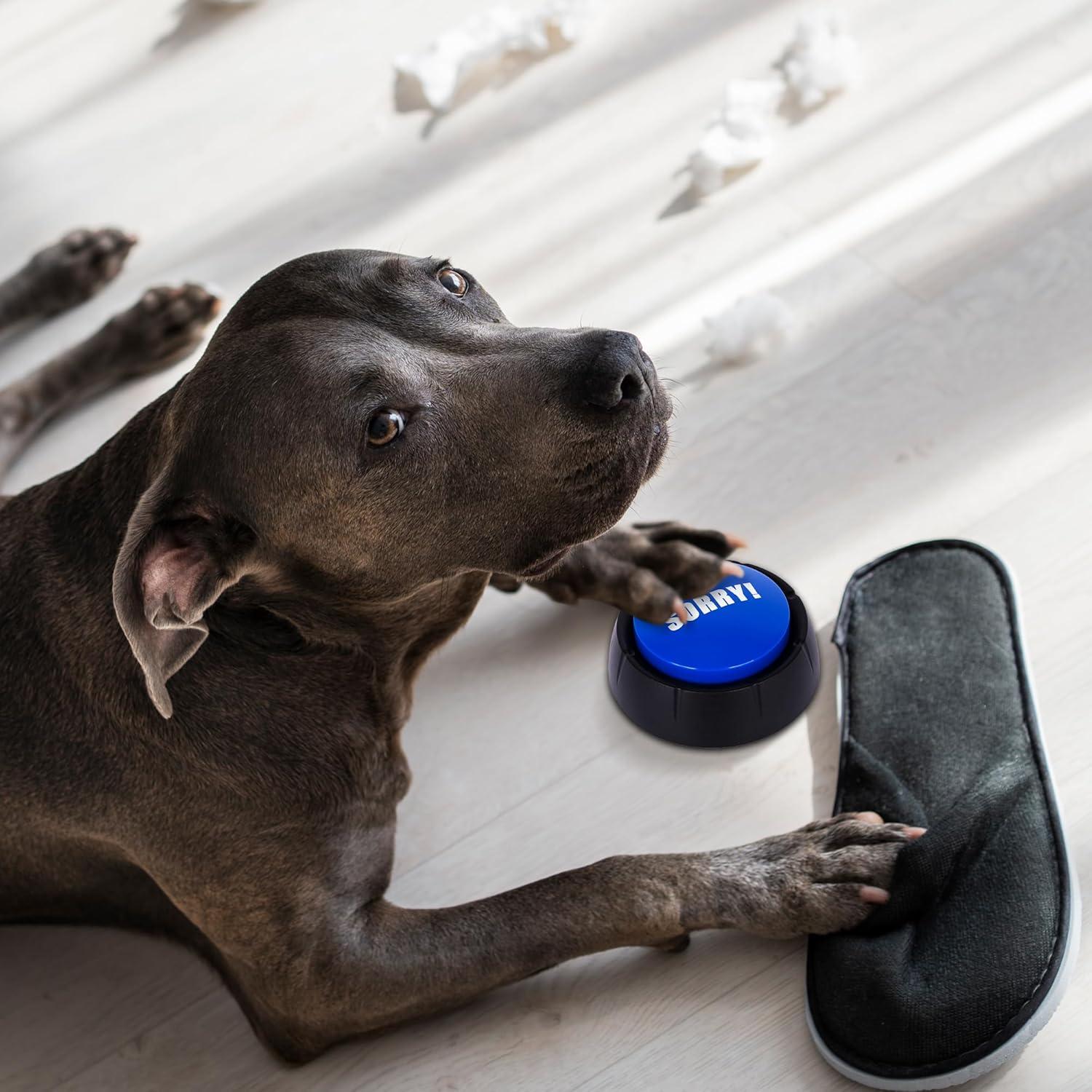 Botón de Ruido ArtCreativity - 10 Sonidos Divertidos - Juguete