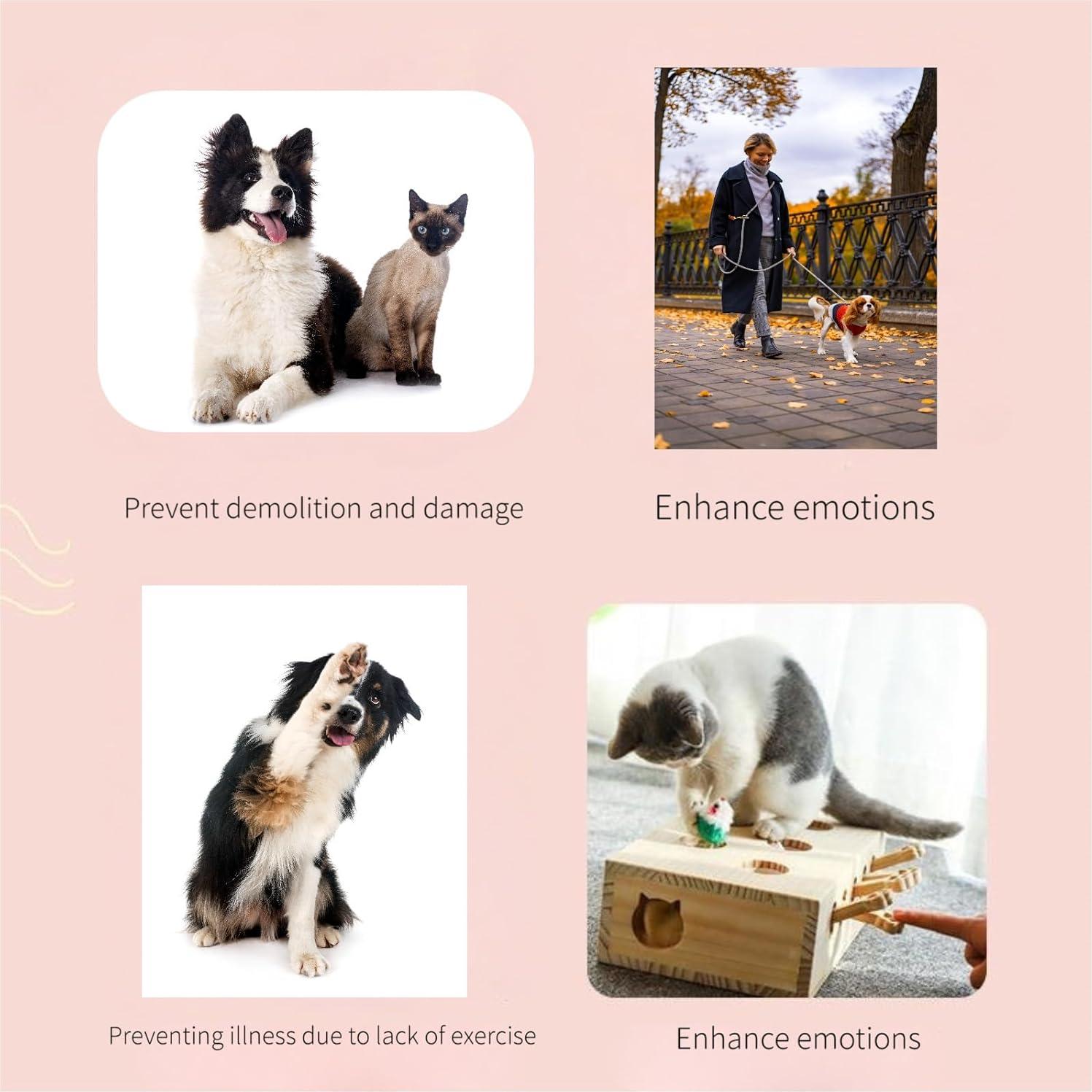 Botones de Comunicación para Perros Wanxmal - 2 Unidades Grabables