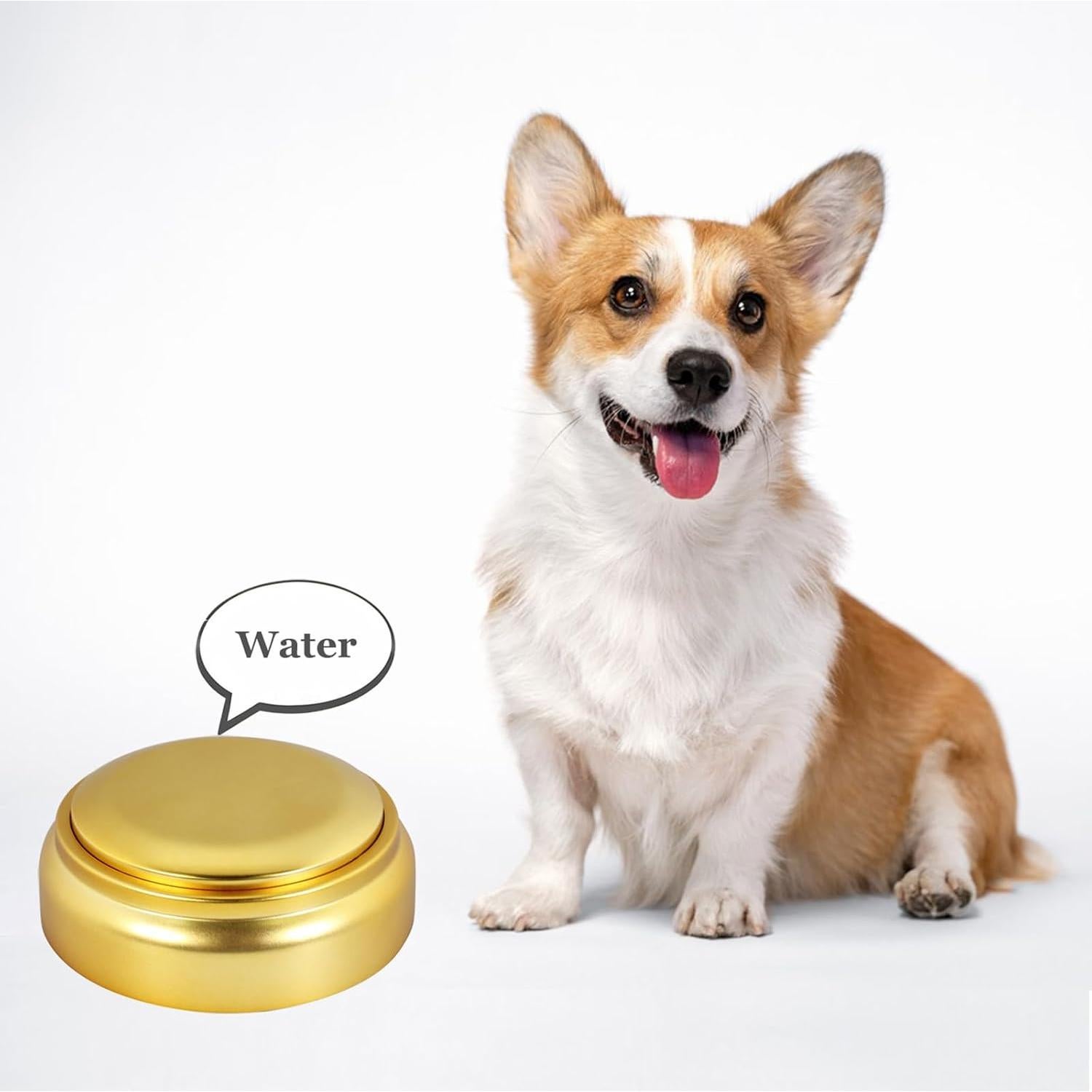 Botón Grabable Personalizado Wariolle 30 Segundos para Perros