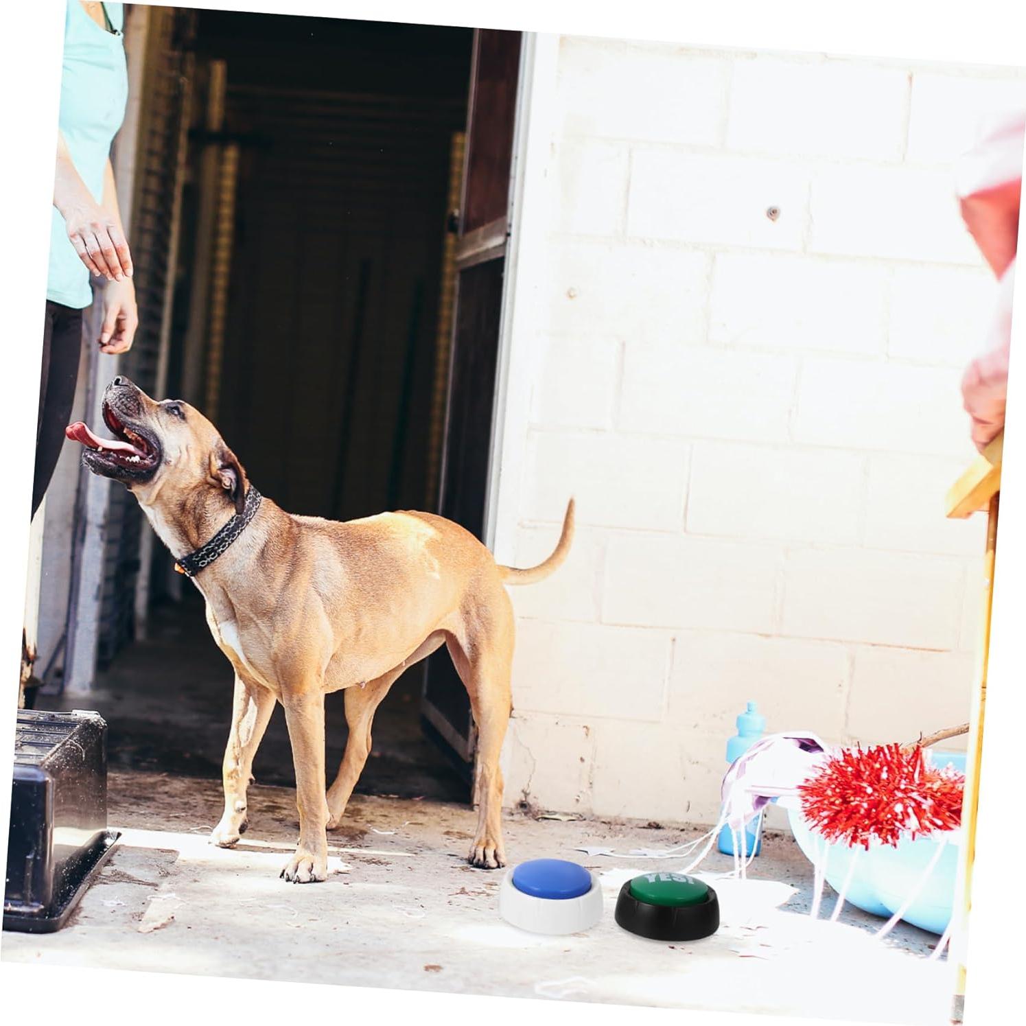 Botones Hablantes para Perros Milisten - Paquete de 4 Unidades