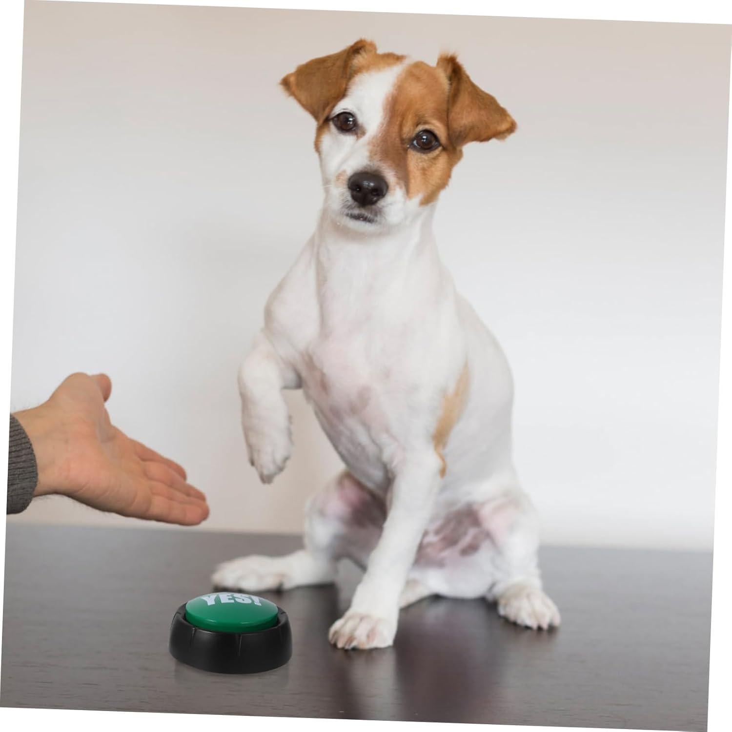 Botones Hablantes para Perros Milisten - Paquete de 4 Unidades