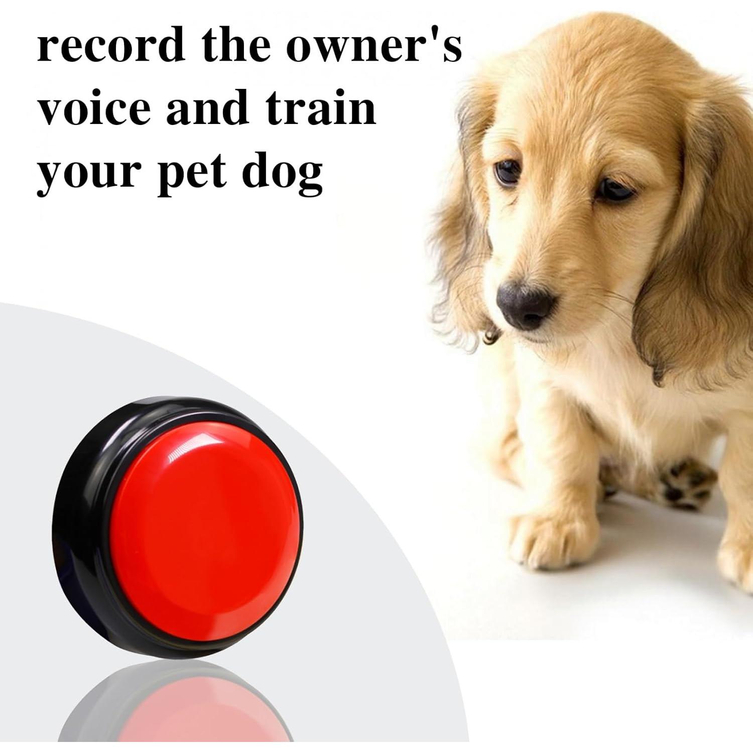 Botón de Grabación de Voz 30 Segundos Rojo - Shenzhen Sight