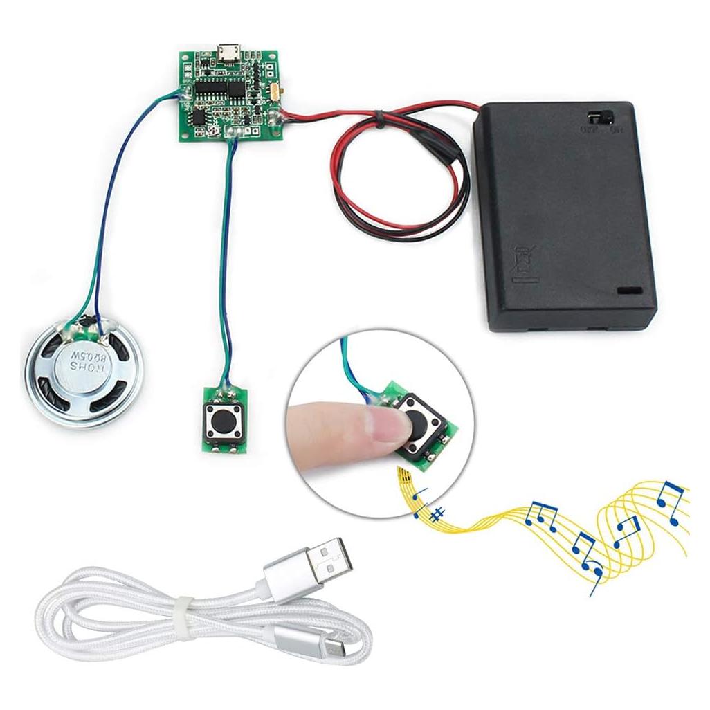 Módulo de Sonido Programable WayinTop 8MB con Botón y USB