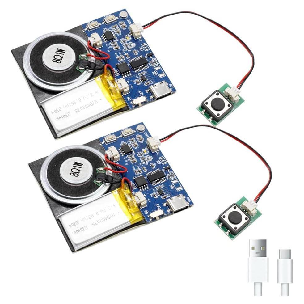 Módulo de Sonido XLW JR1653 - Grabación 16 Minutos, 16MB, USB-C, Azul 2Pack