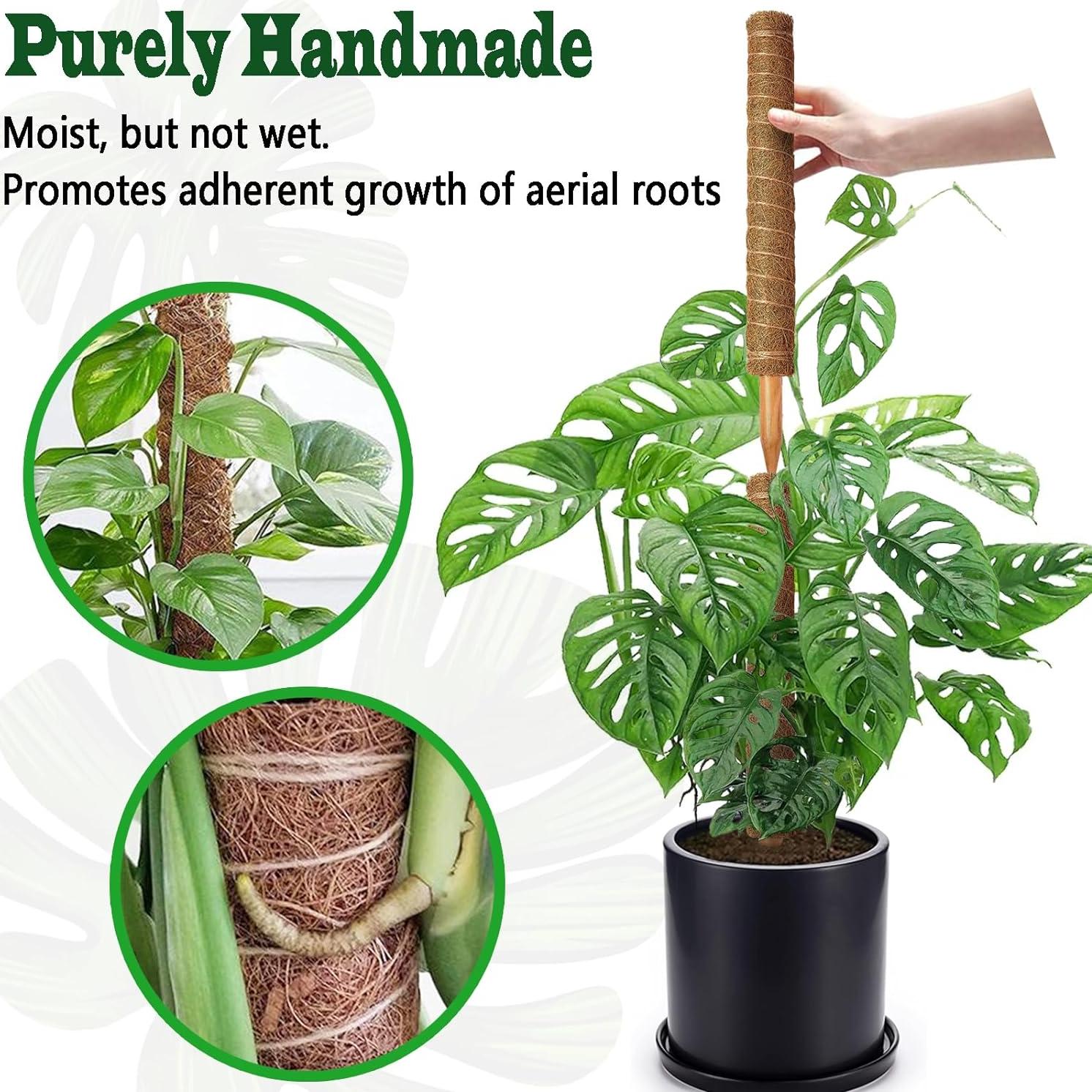 Paquete de 4 postes de musgo CHIAFFI 45.72 cm para plantas trepadoras