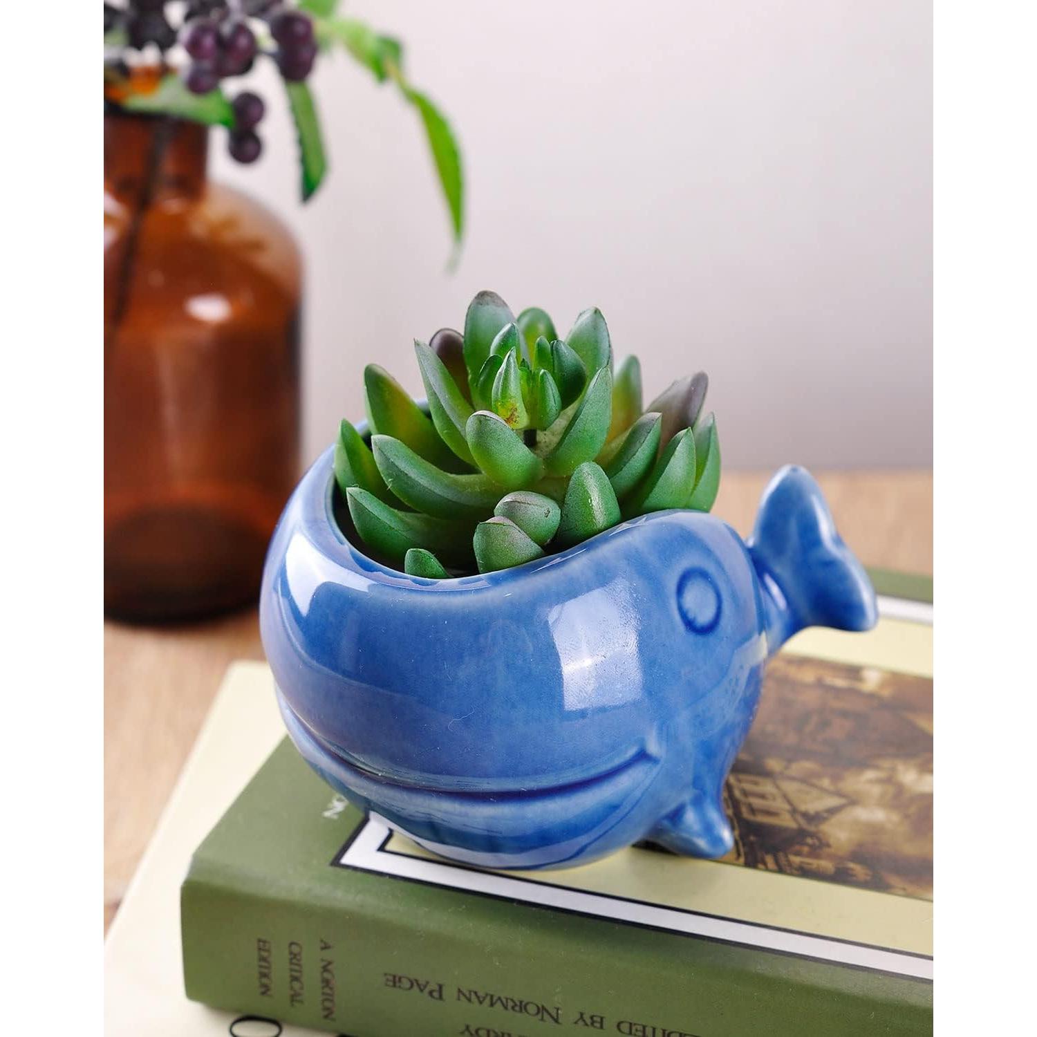 Maceta de Cerámica VanEnjoy Ballena Azul 11 cm para Suculentas
