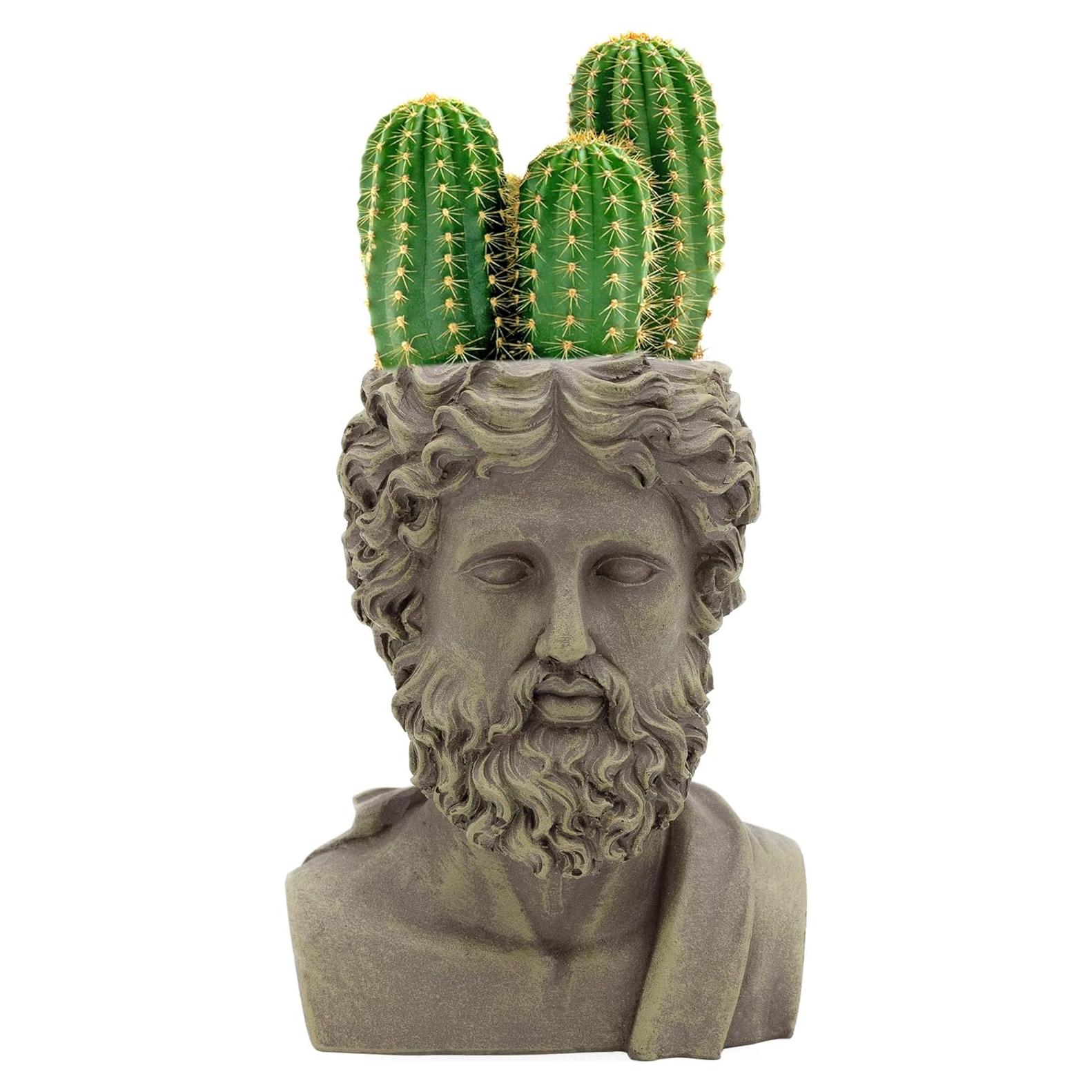 Maceta Decorativa Zeus Esterno Mini 12.4 cm Resina Gris