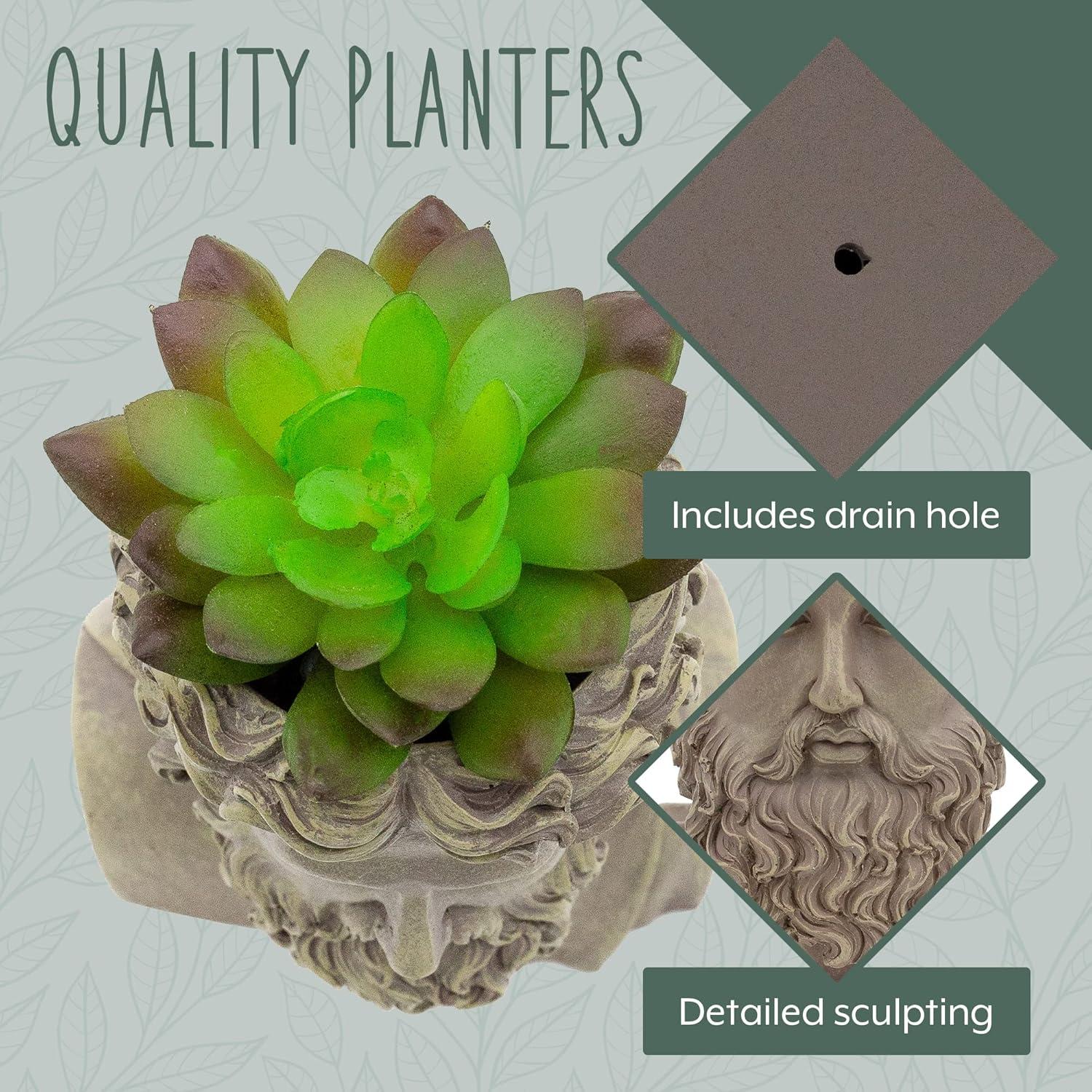 Maceta Decorativa Zeus Esterno Mini 12.4 cm Resina Gris