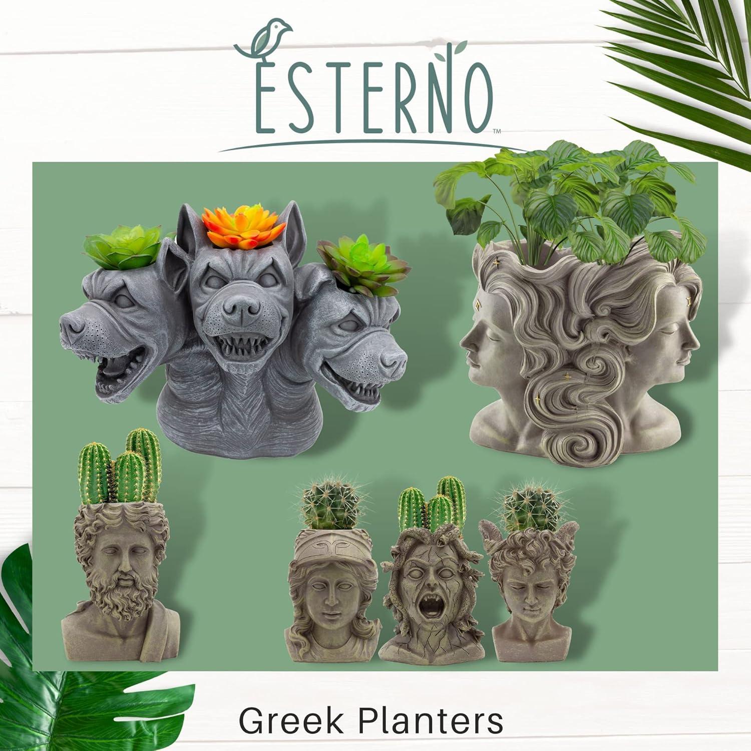 Maceta Decorativa Zeus Esterno Mini 12.4 cm Resina Gris