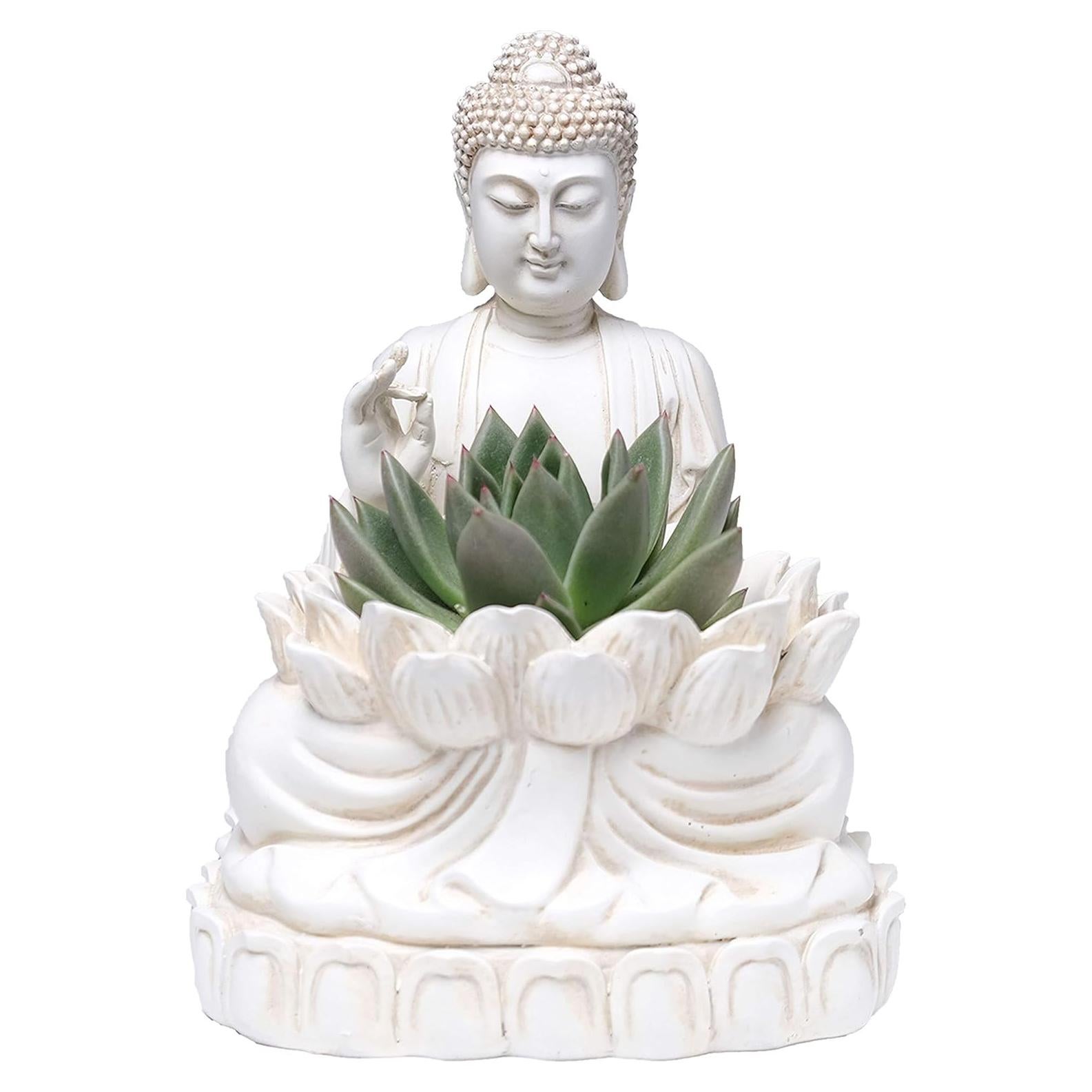 Maceta Zen Buda Bella Haus 24.1 cm Poliresina Decorativa
