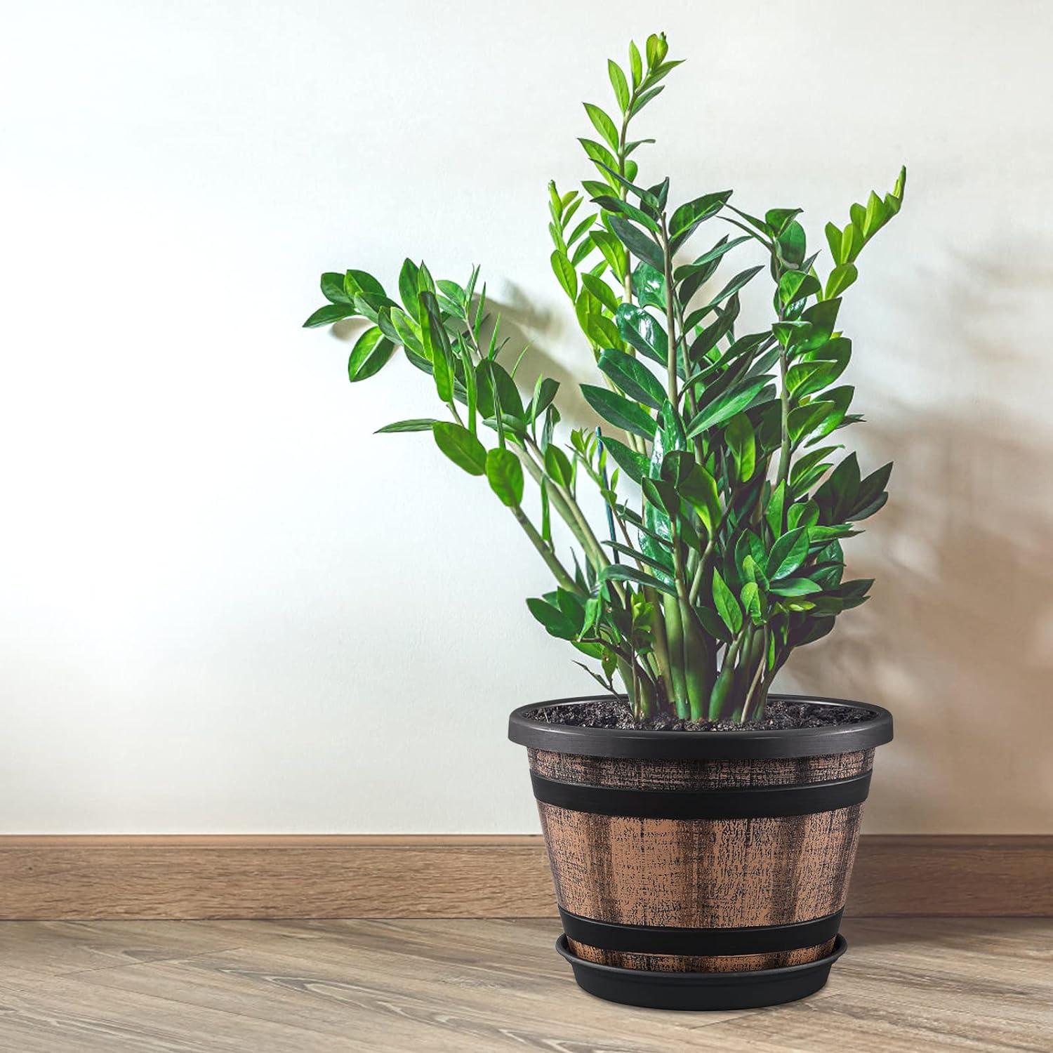 Macetas Quarut 3 Pack 25.4 cm Barril de Whisky Marrón