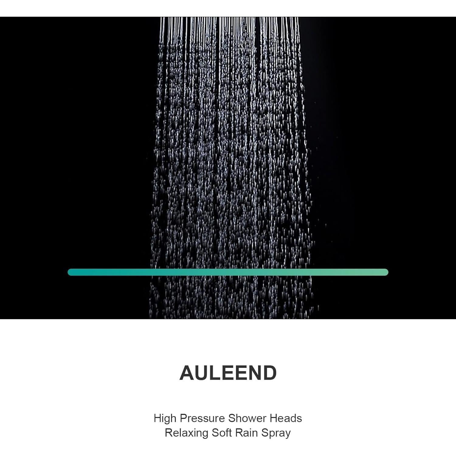 Cabezal de Ducha Alta Presión AULEEND 20 cm Cromo Ajustable