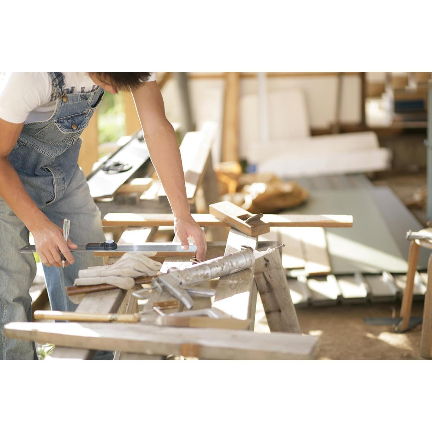 Buscador de Ángulo Digital GemRed 82305 Acero Inoxidable 200mm