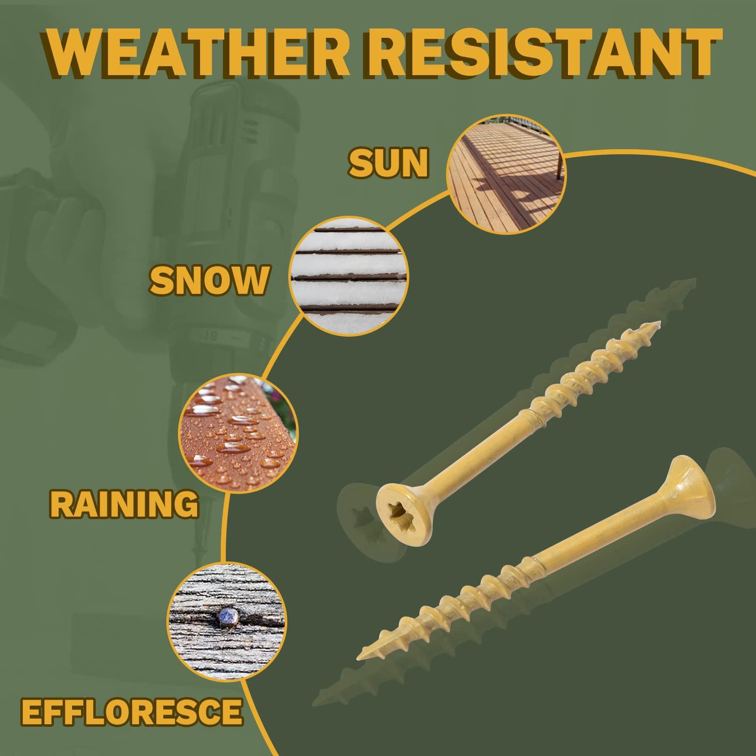 Tornillos de Madera LIONMAX #8 x 2.54 cm (1 Pulgada) 100 PCS